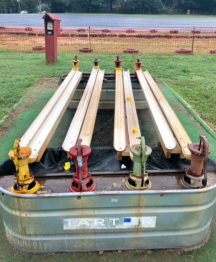 rubber-duck-race-hall-family-farm-charlotte