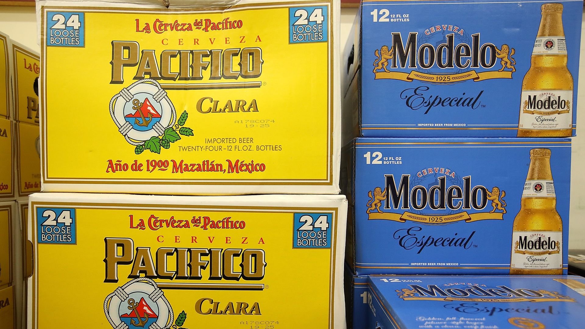  Cases of Modelo and Pacifico beer 