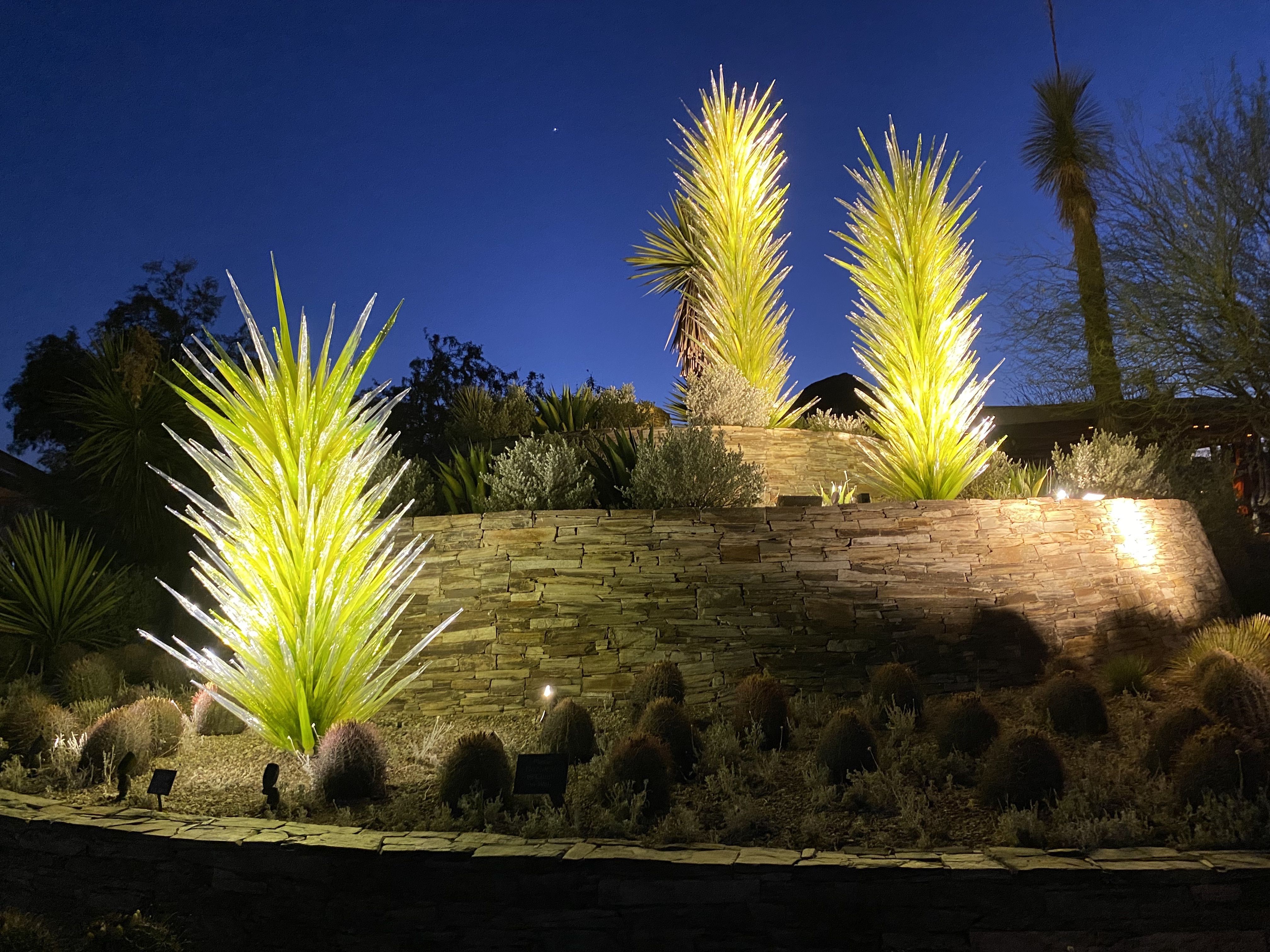 Flashlight Nights at Phoenix's Desert Botanical Garden are great