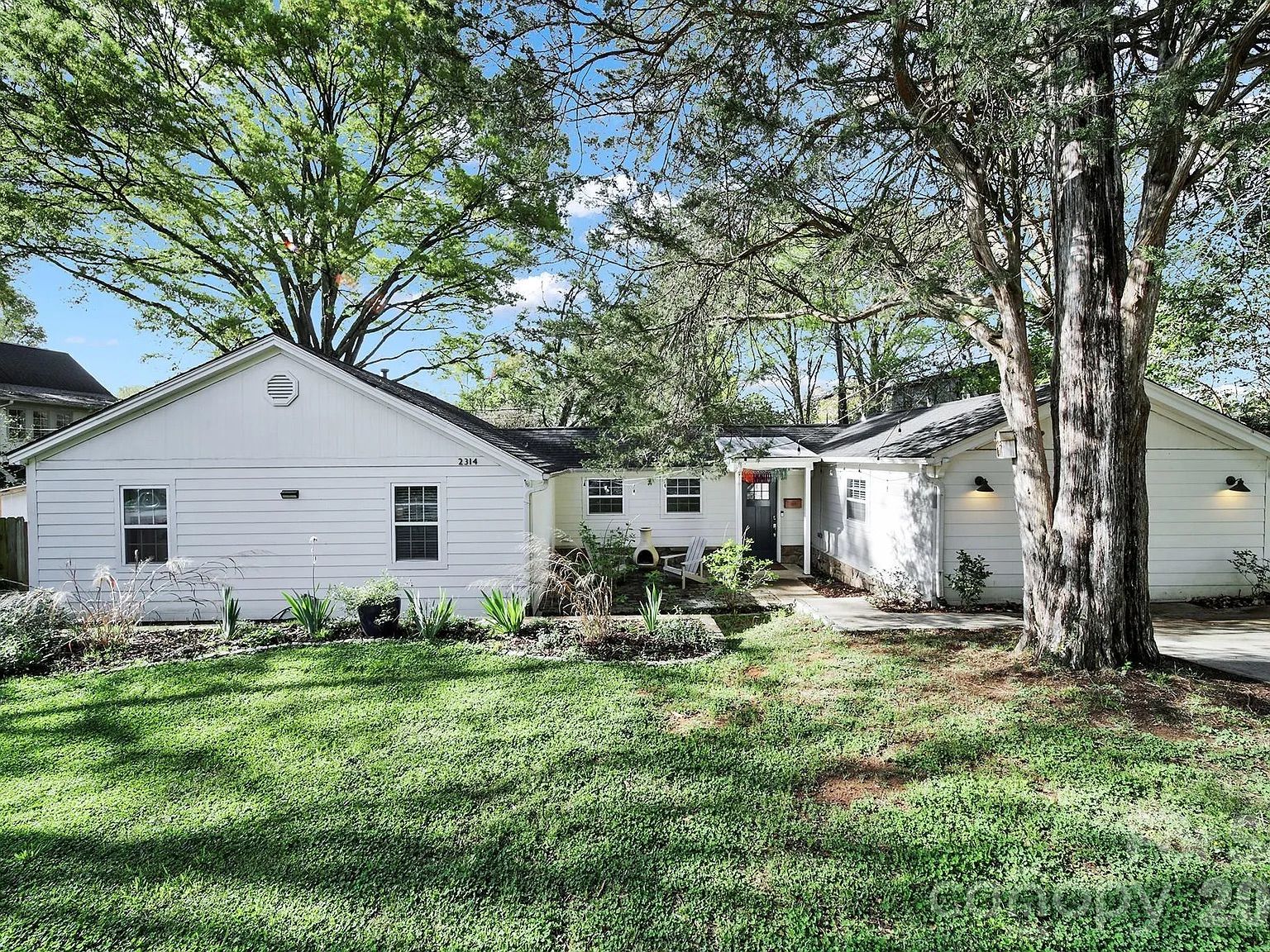 White single-story house with black front door, surrounded by green lawn and large leafy trees under blue sky.
