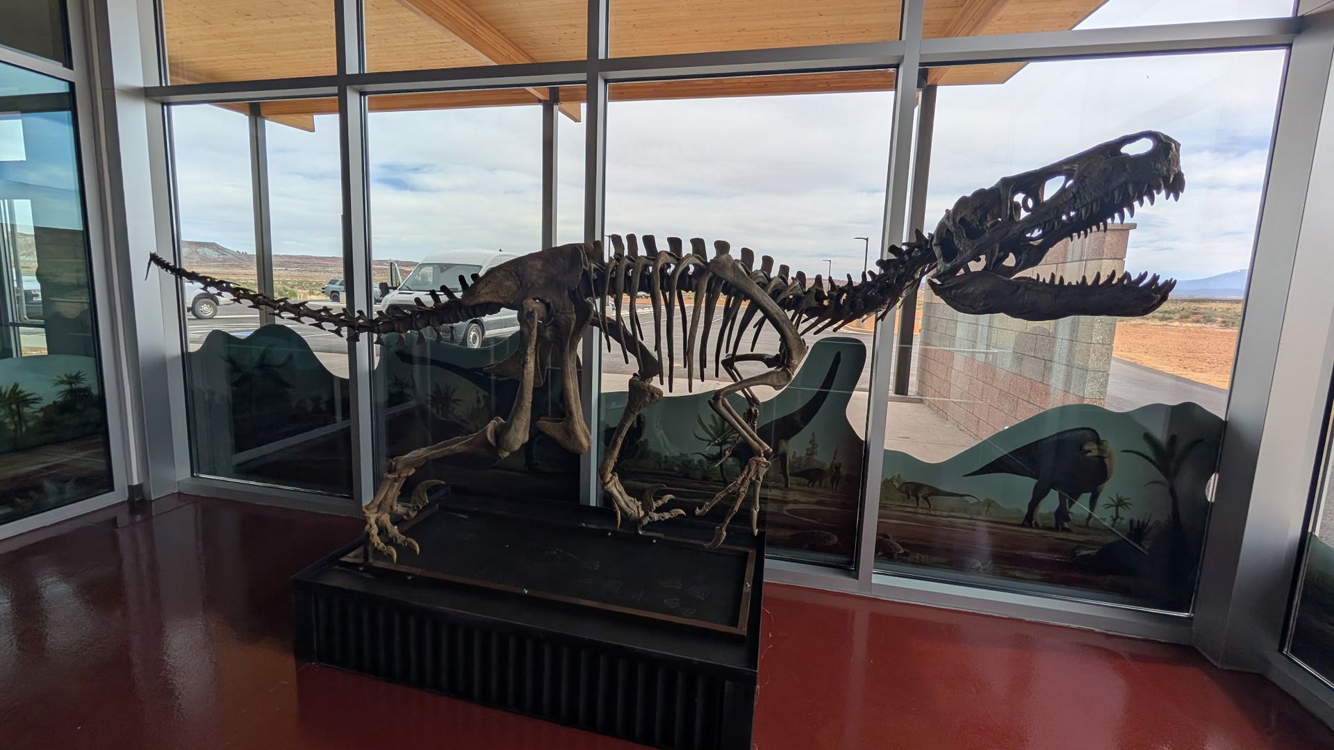 A Utah fossil display.