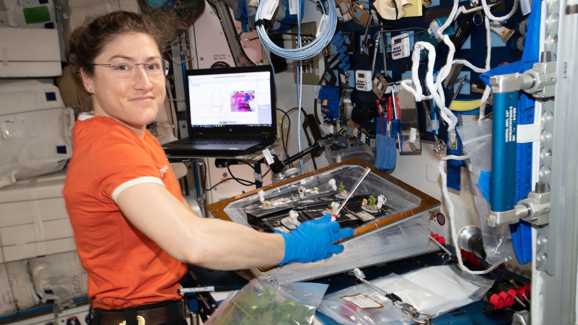 NASA astronaut Christina Koch performing an experiment on the International Space Station
