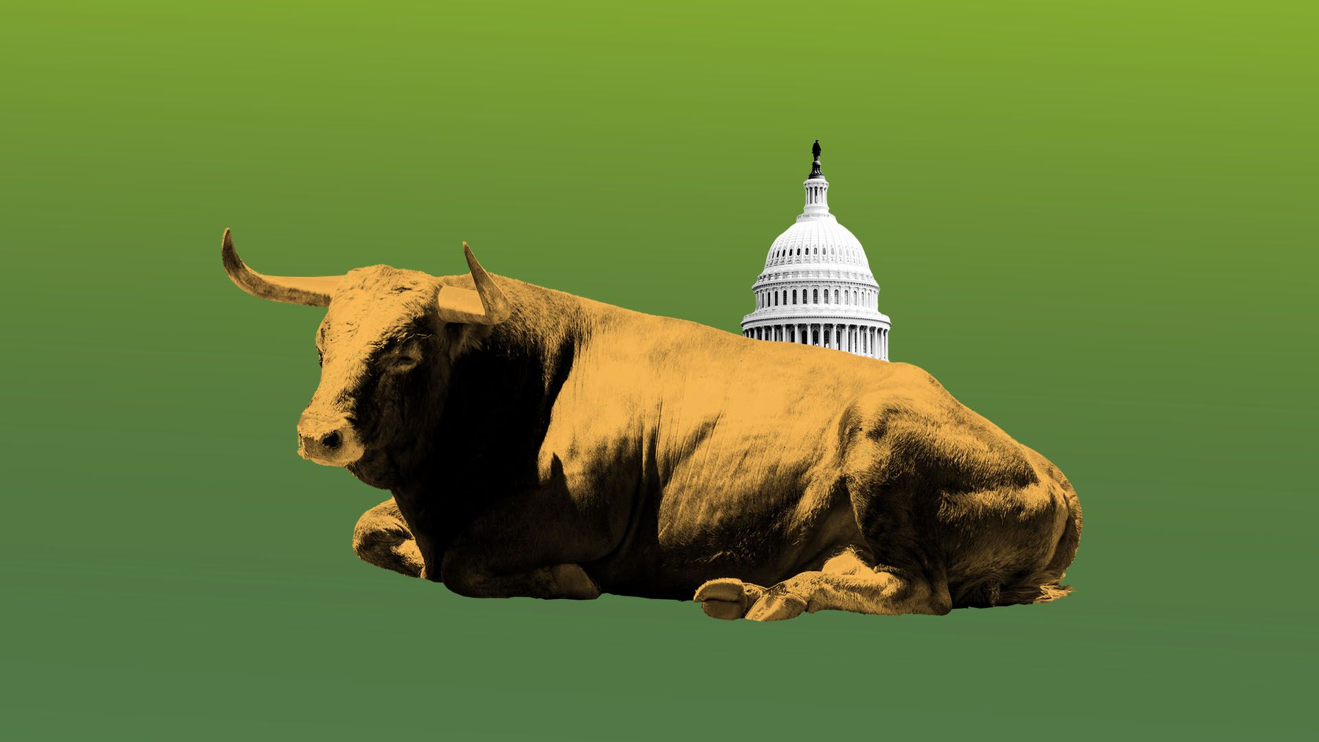 Illustration of bored bull with Capitol Building in the background