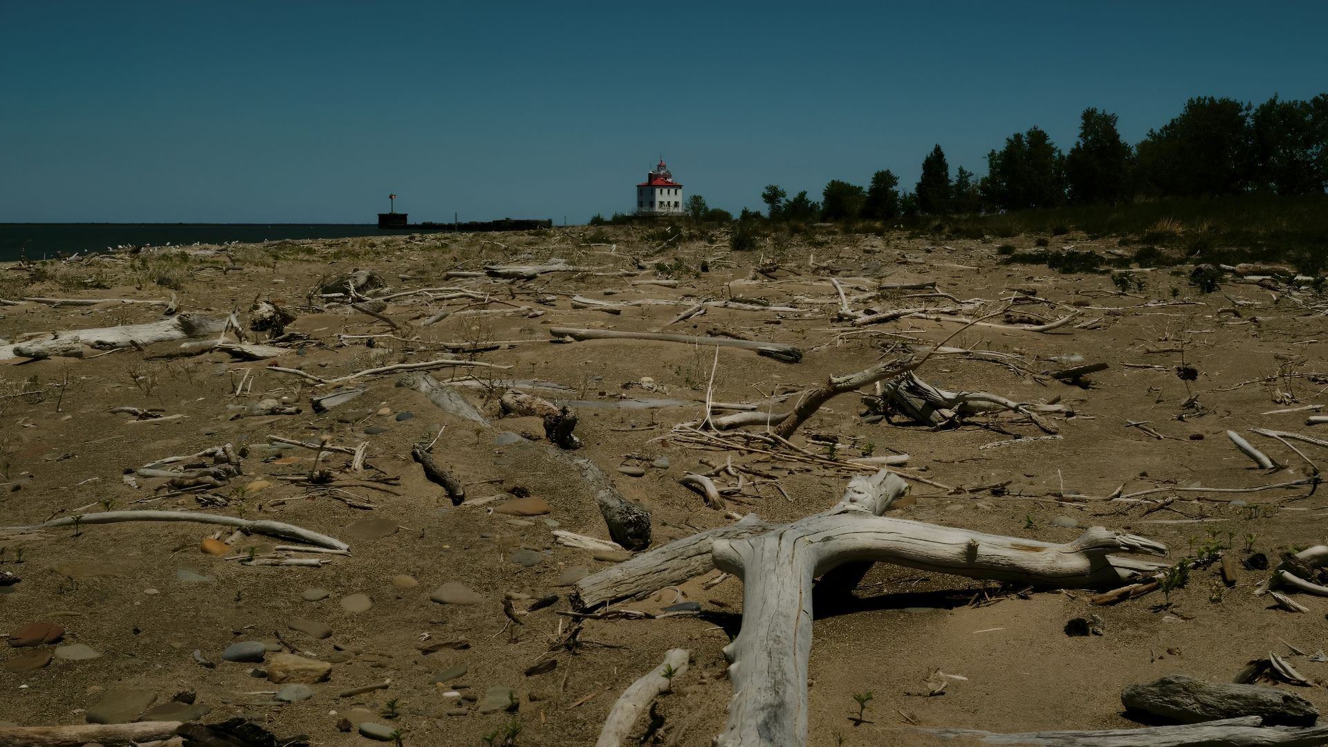 Wide sandy beach scattered with driftwood, a distant white lighthouse with a red roof near a jetty; calm blue water on the left and trees along the horizon on the right.