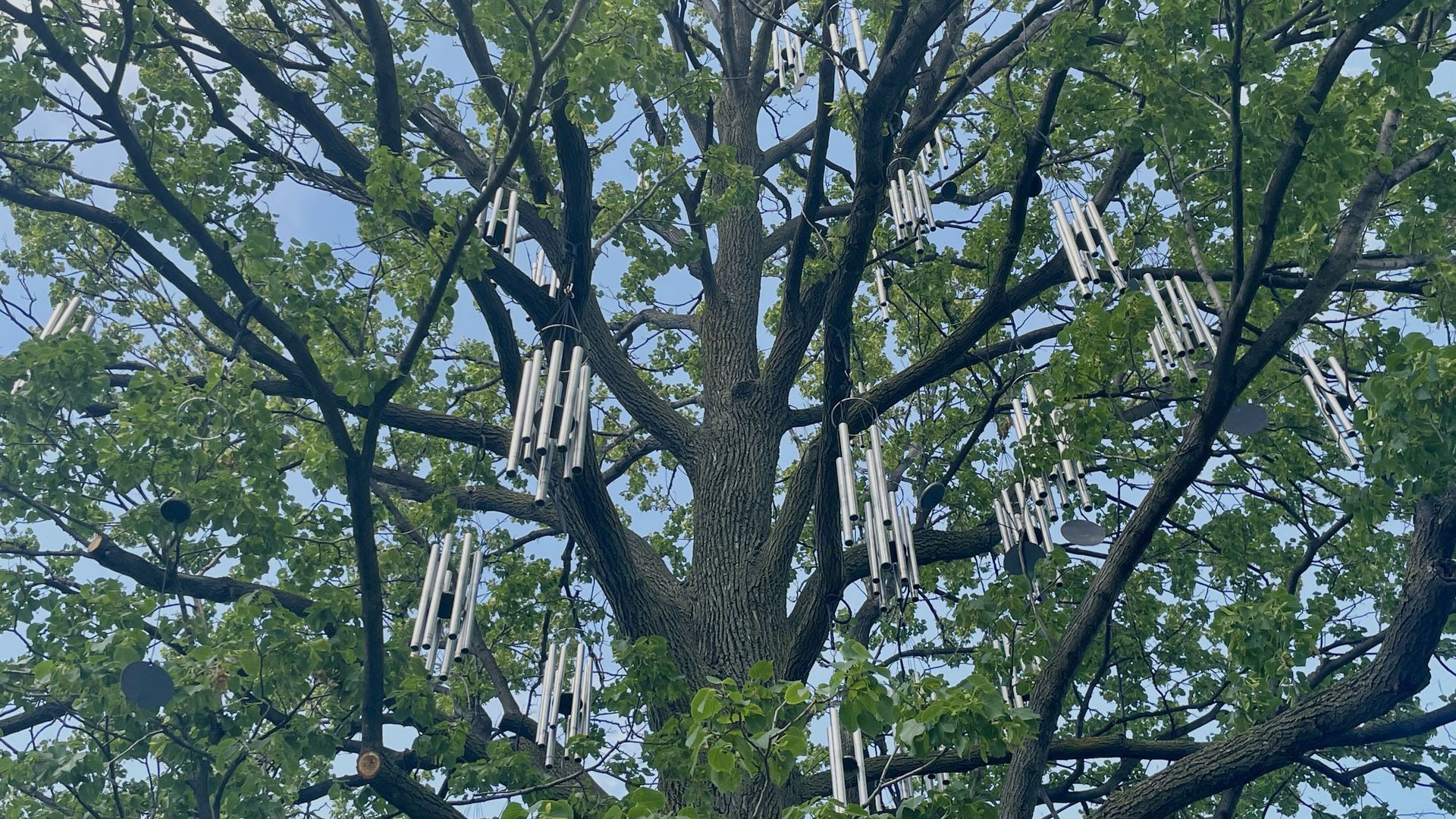A wind chime exhibit at the Minneapolis Sculpture Garden.