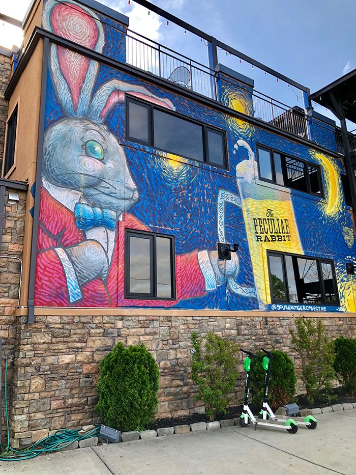 peculiar rabbit Plaza Midwood 