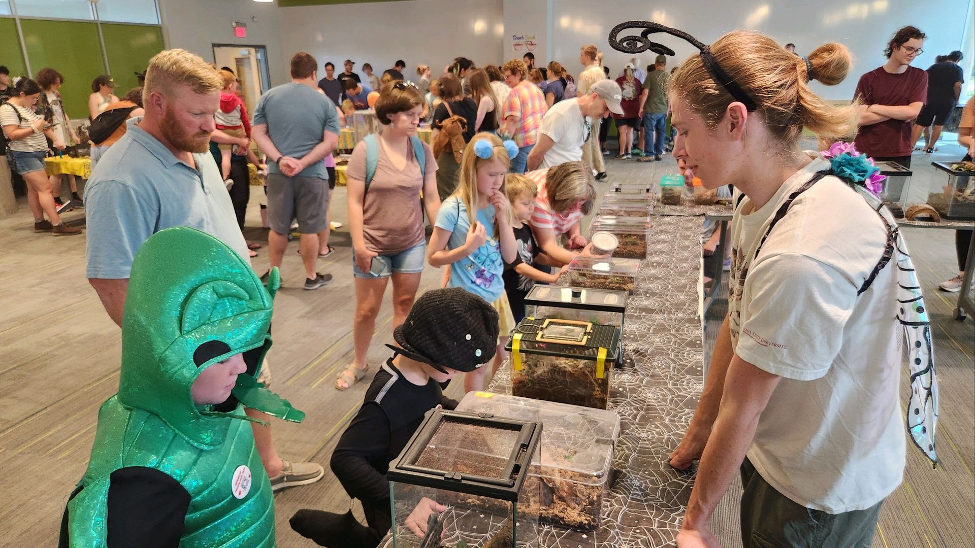 Students looking at bugs on a table