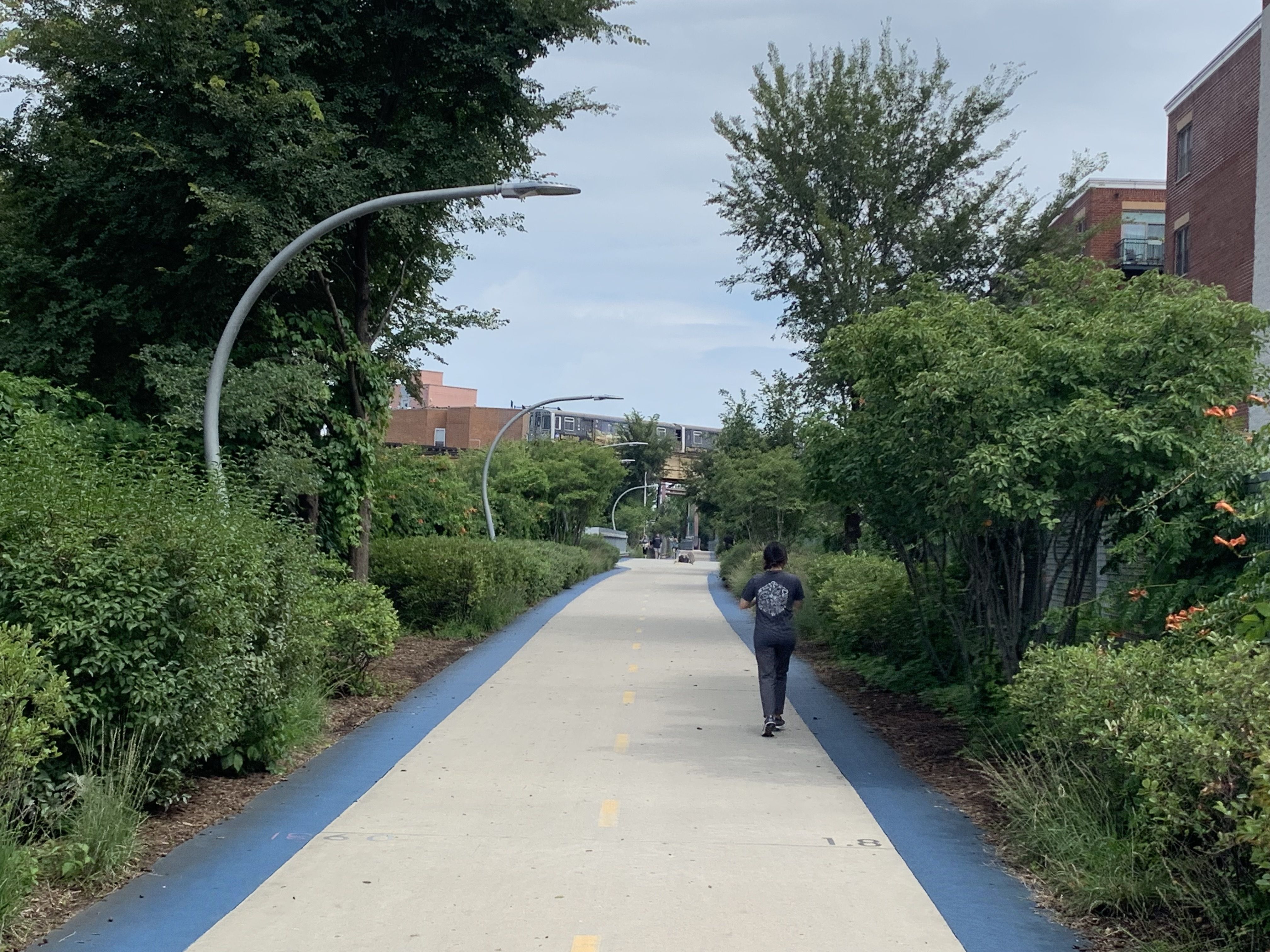 Photo of a trail with trees surrounding it 
