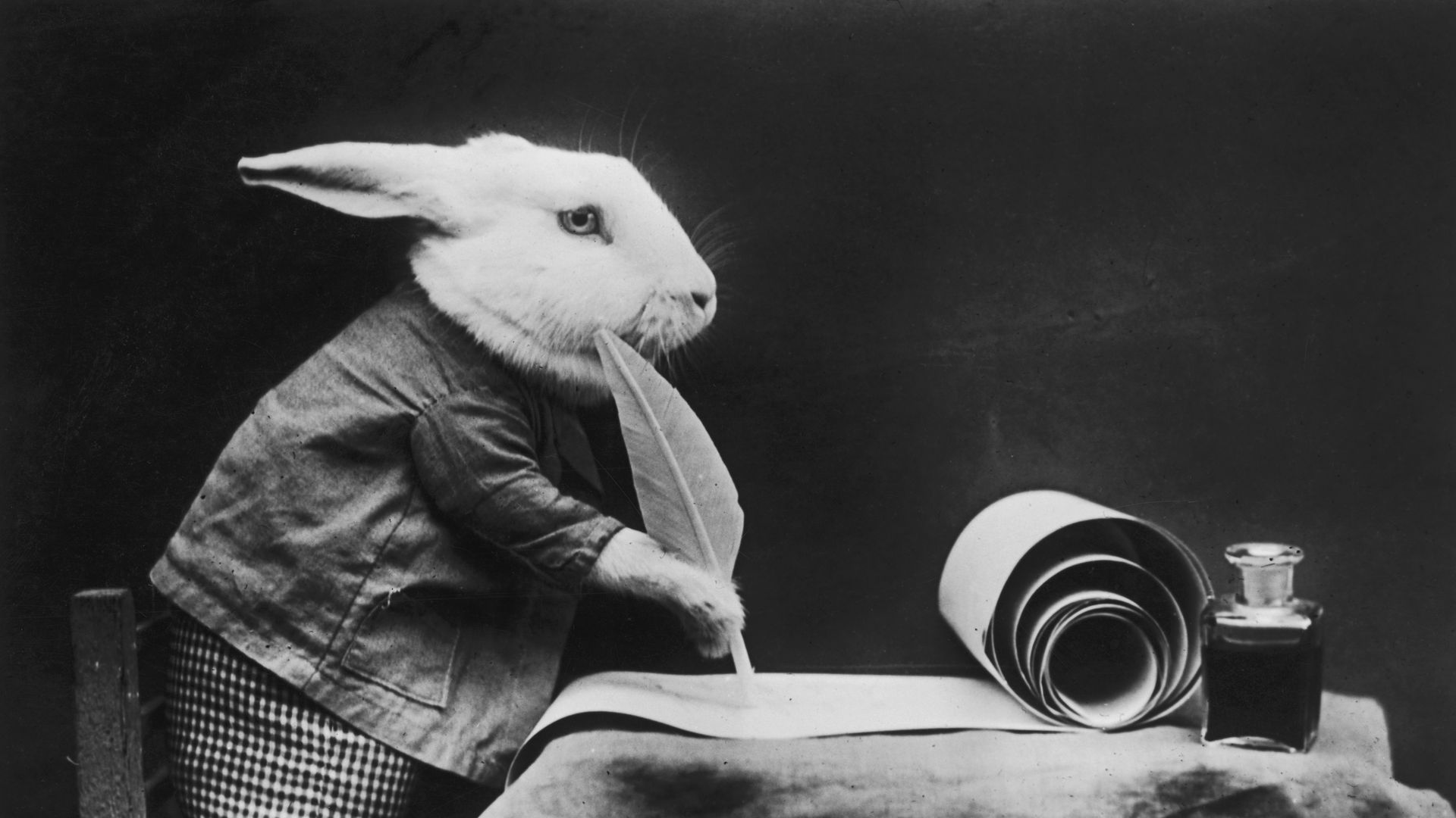 Photo of white rabbit wearing clothing and writing with feather pen on scroll.