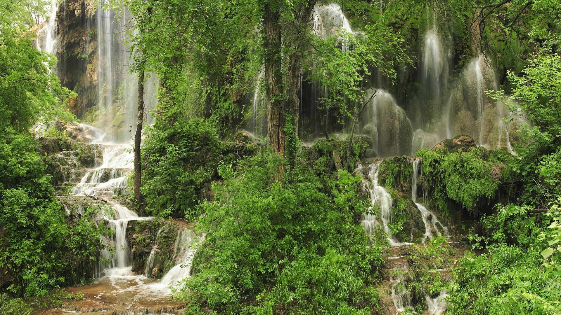 Gorman Falls at Colorado Bend State Park. Photo courtesy of Texas Parks and Wildlife Department