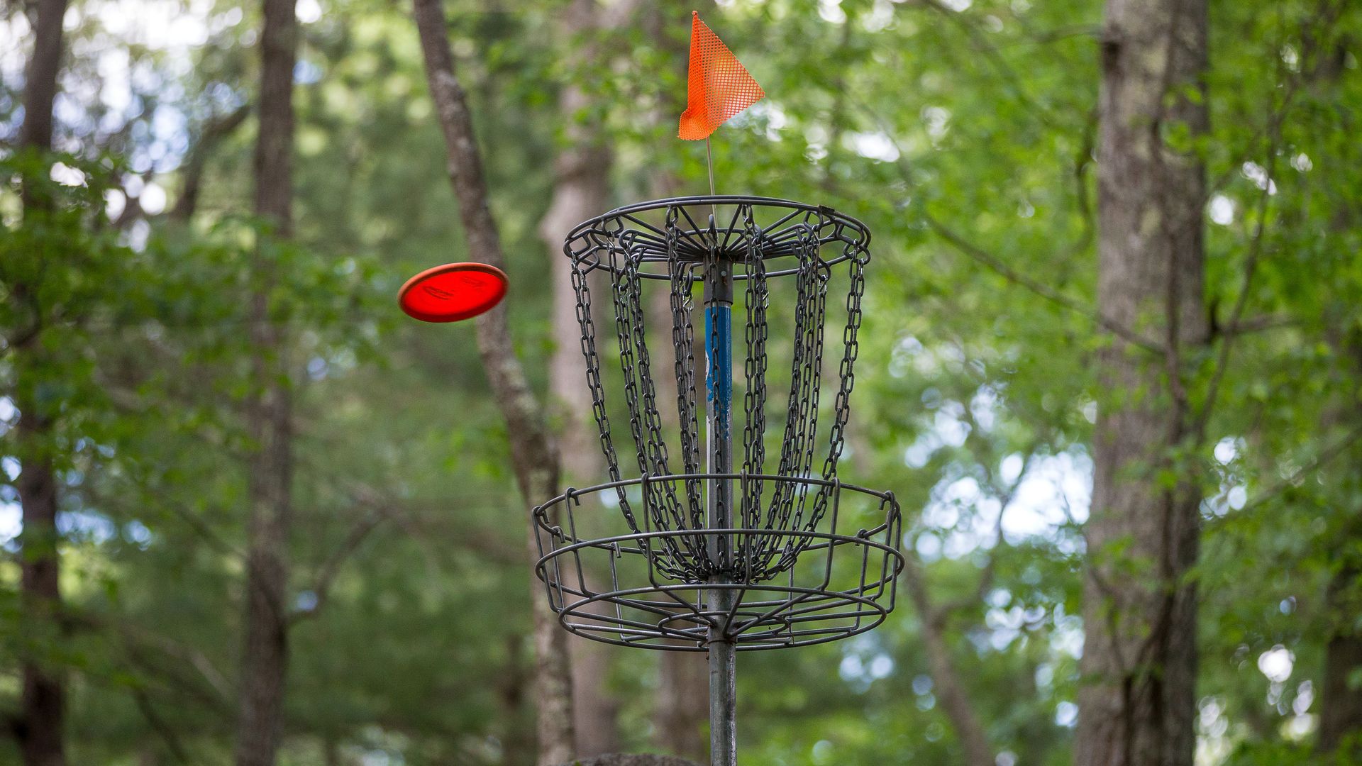 A red disc flies into a disc golf basket