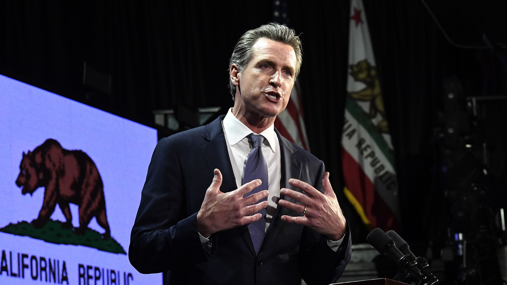 gavin newsom