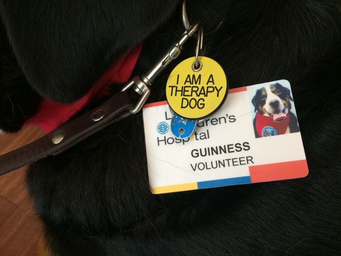 Follow Guinness a certified therapy dog on a visit to Levine