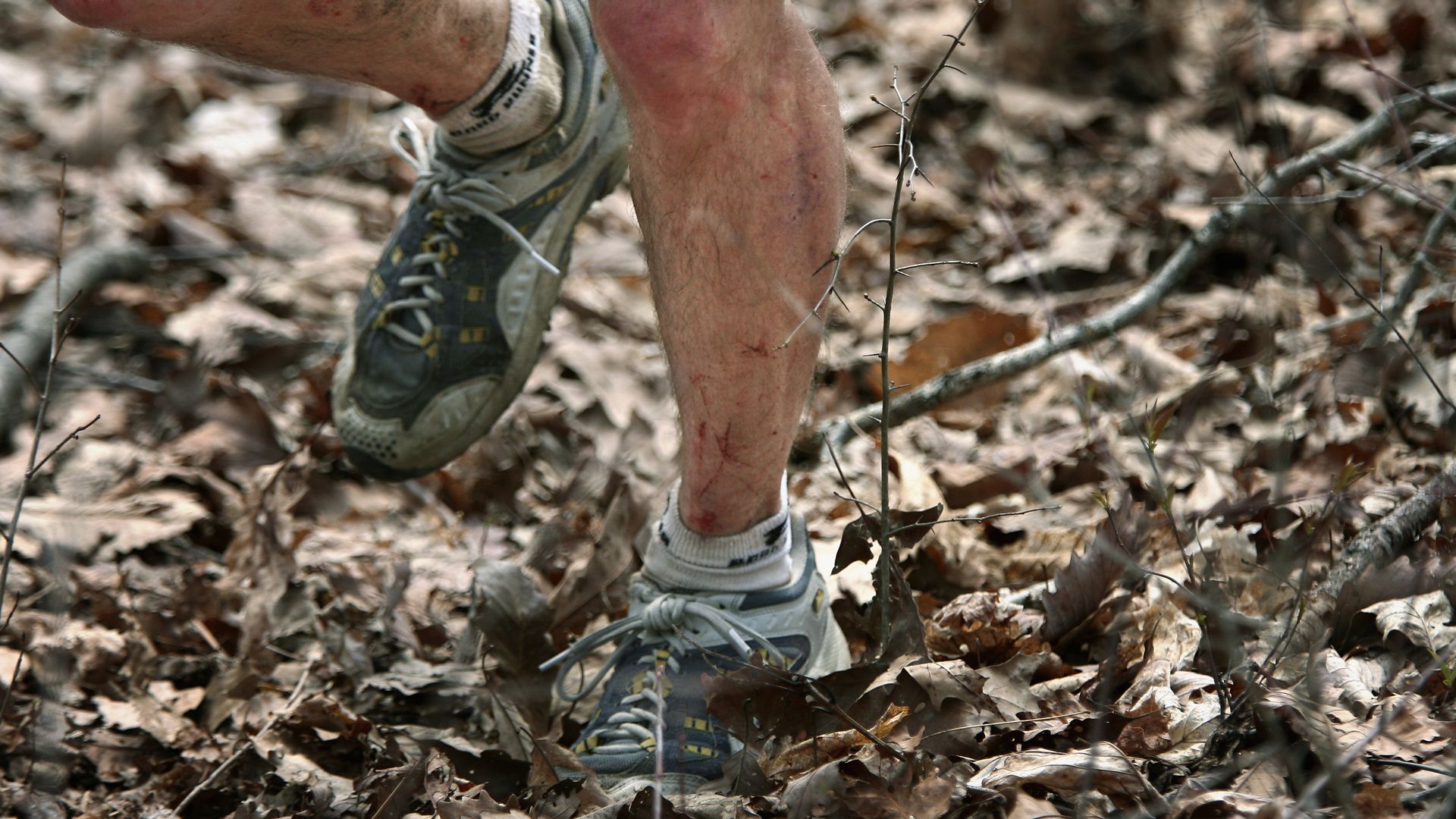 Legs running in a forest