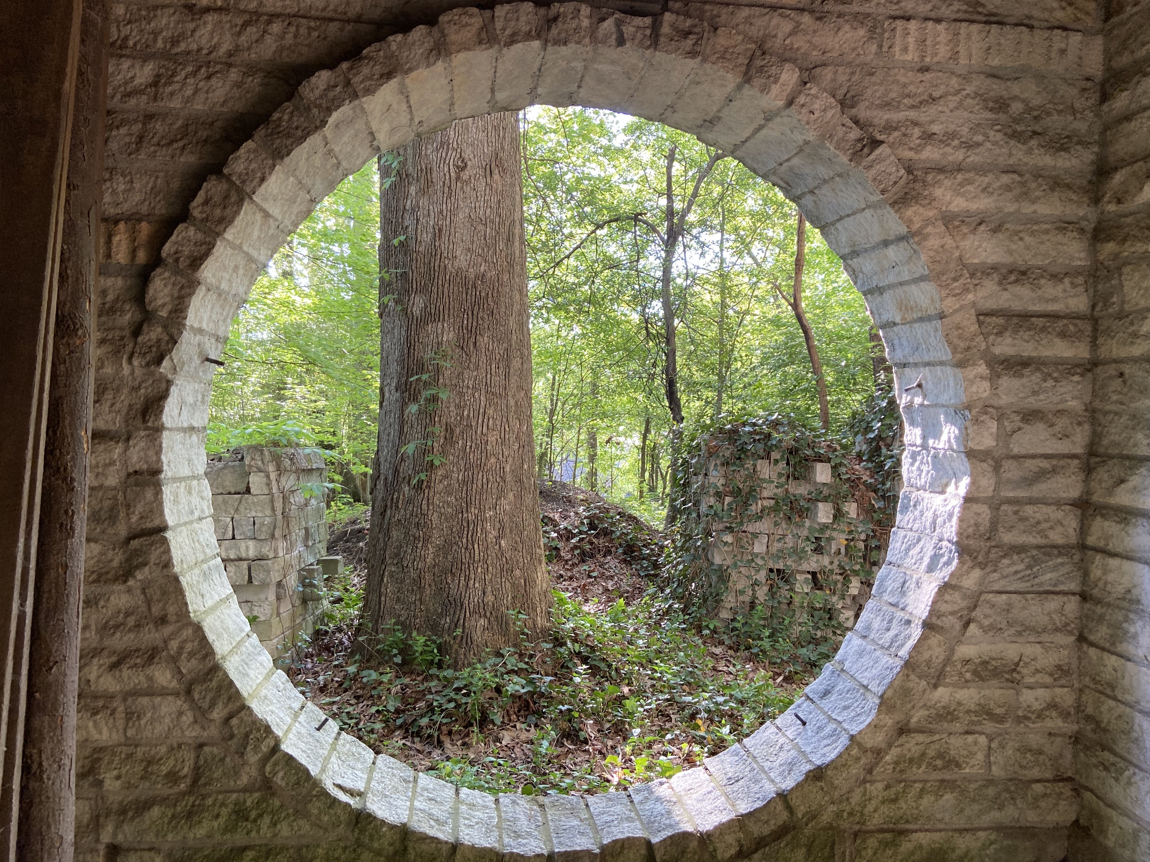A view through a circular porch opening into a green and wooded front yard