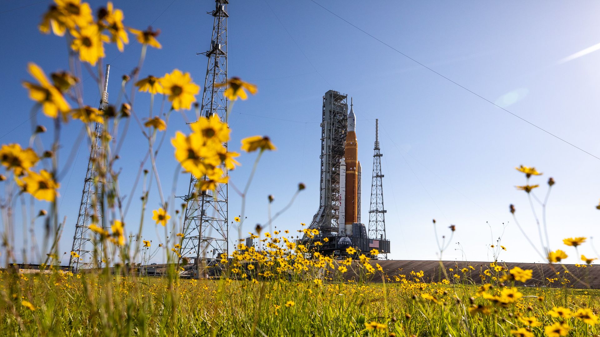 The Space Launch System rocket against a blue sky with flowers in the foreground