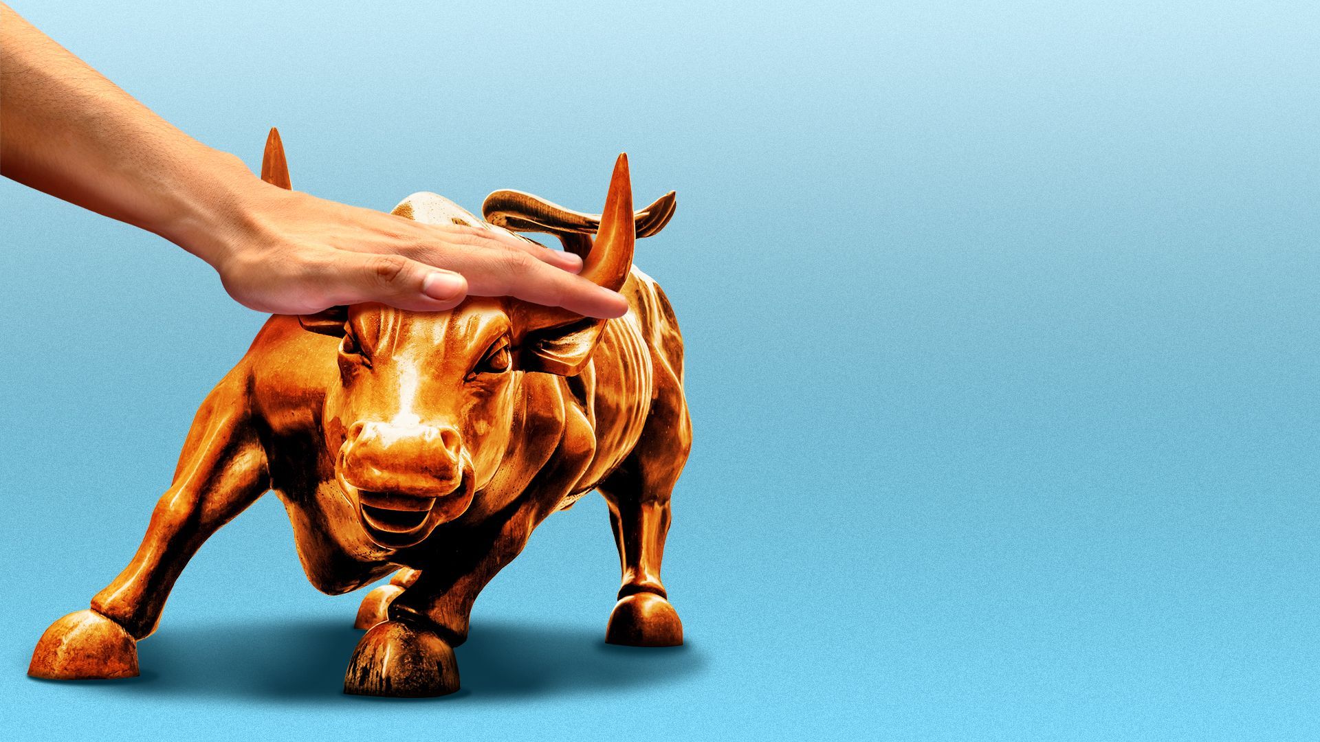 Illustration of a hand petting the Wall Street bull statue