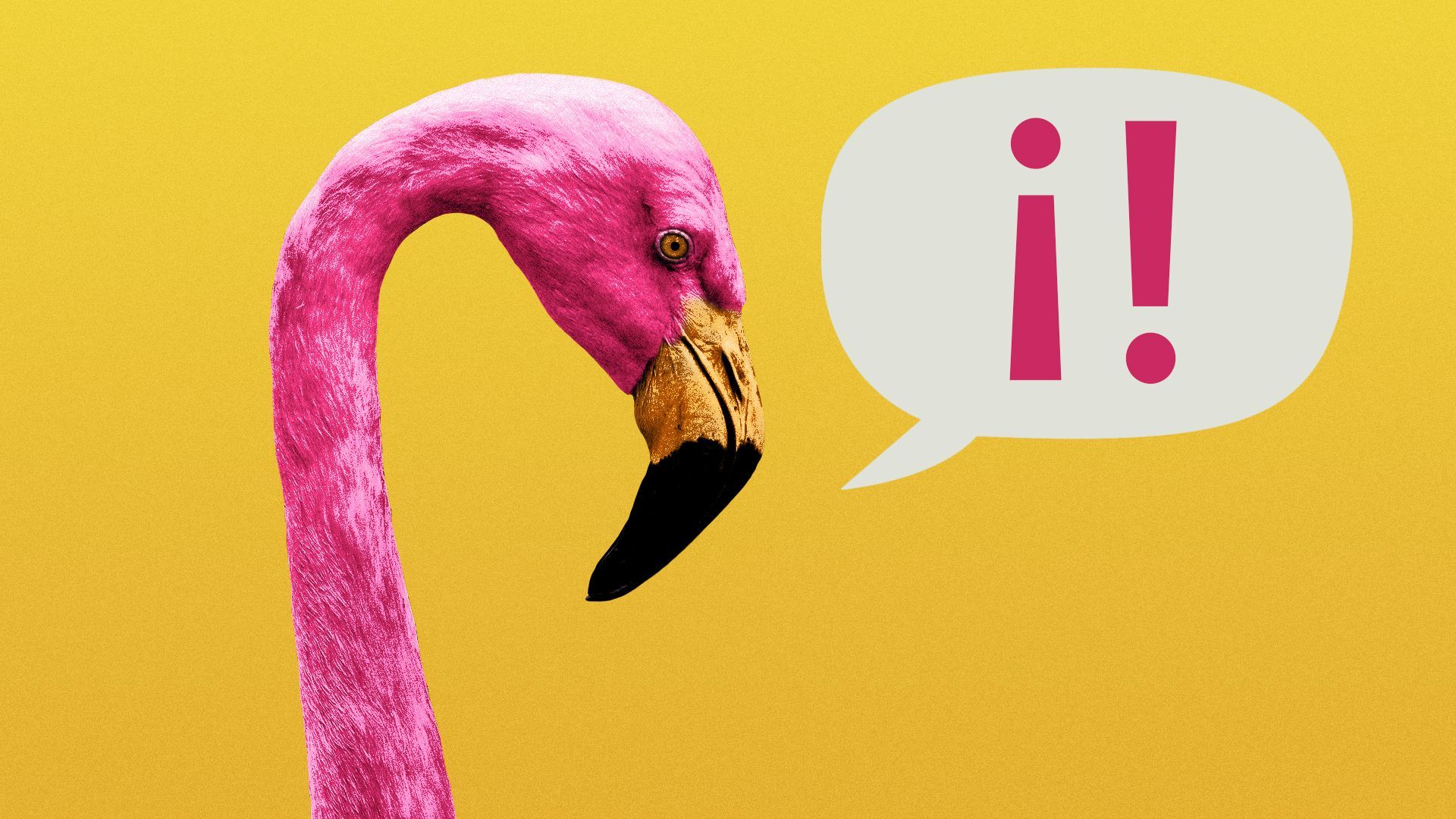 Illustration of a flamingo and a speech bubble containing an inverted exclamation point and a standard exclamation point.