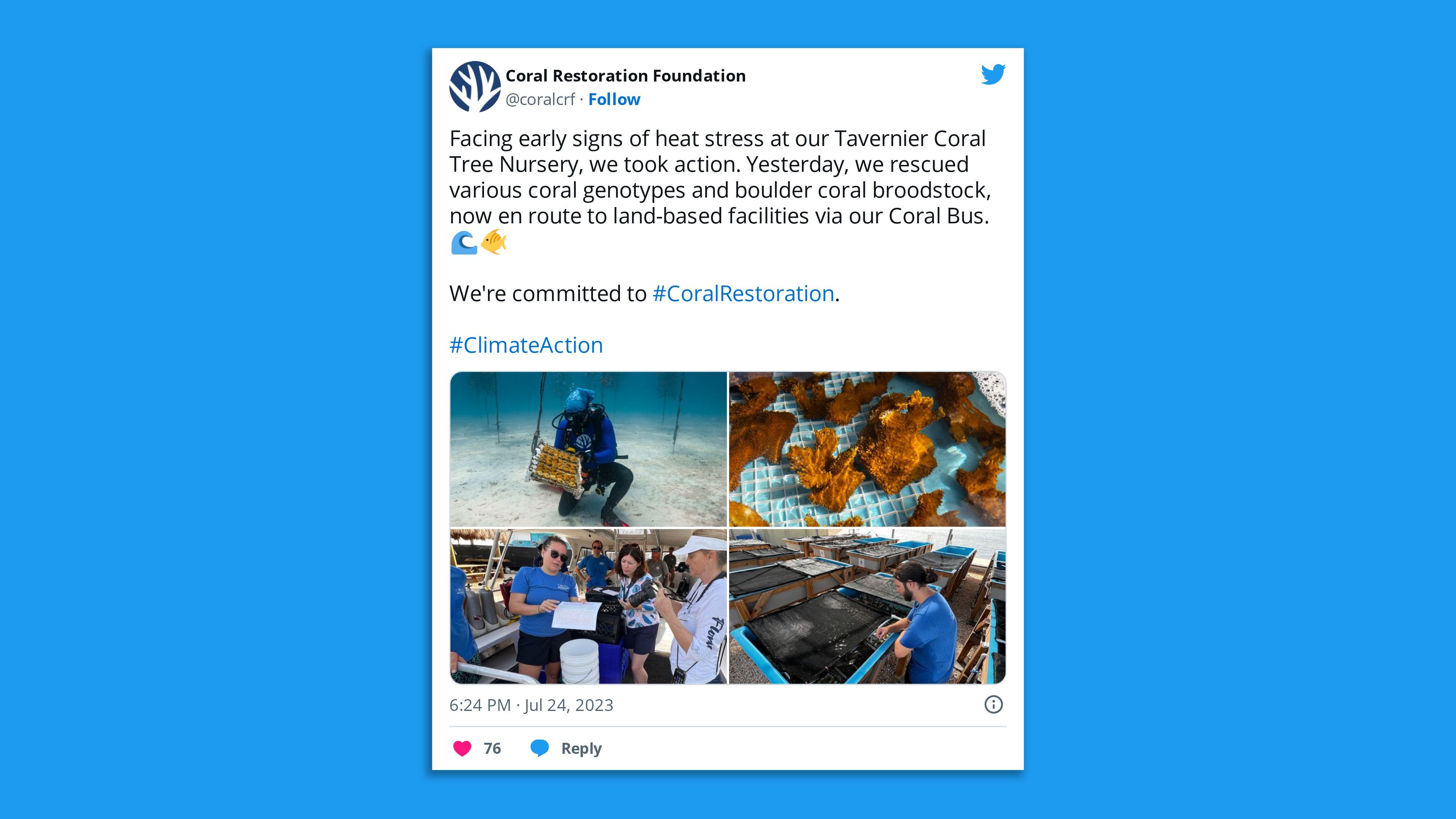 A screenshot of a tweet from the Coral Restoration Foundation, saying: "Facing early signs of heat stress at our Tavernier Coral Tree Nursery, we took action. Yesterday, we rescued various coral genotypes and boulder coral broodstock, now en route to land-based facilities via our Coral Bus. 🌊🐠  We're committed to #CoralRestoration."