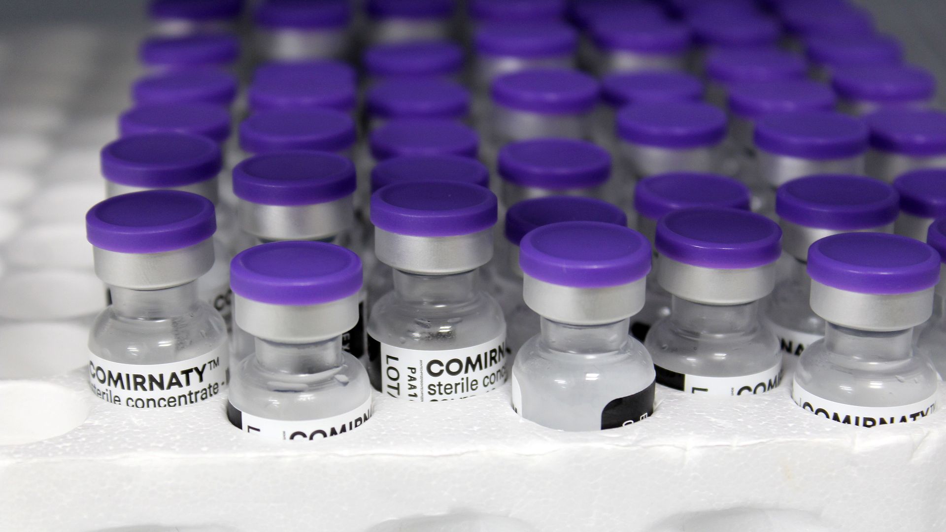 A container holding several vials of COVID-19 vaccines. 