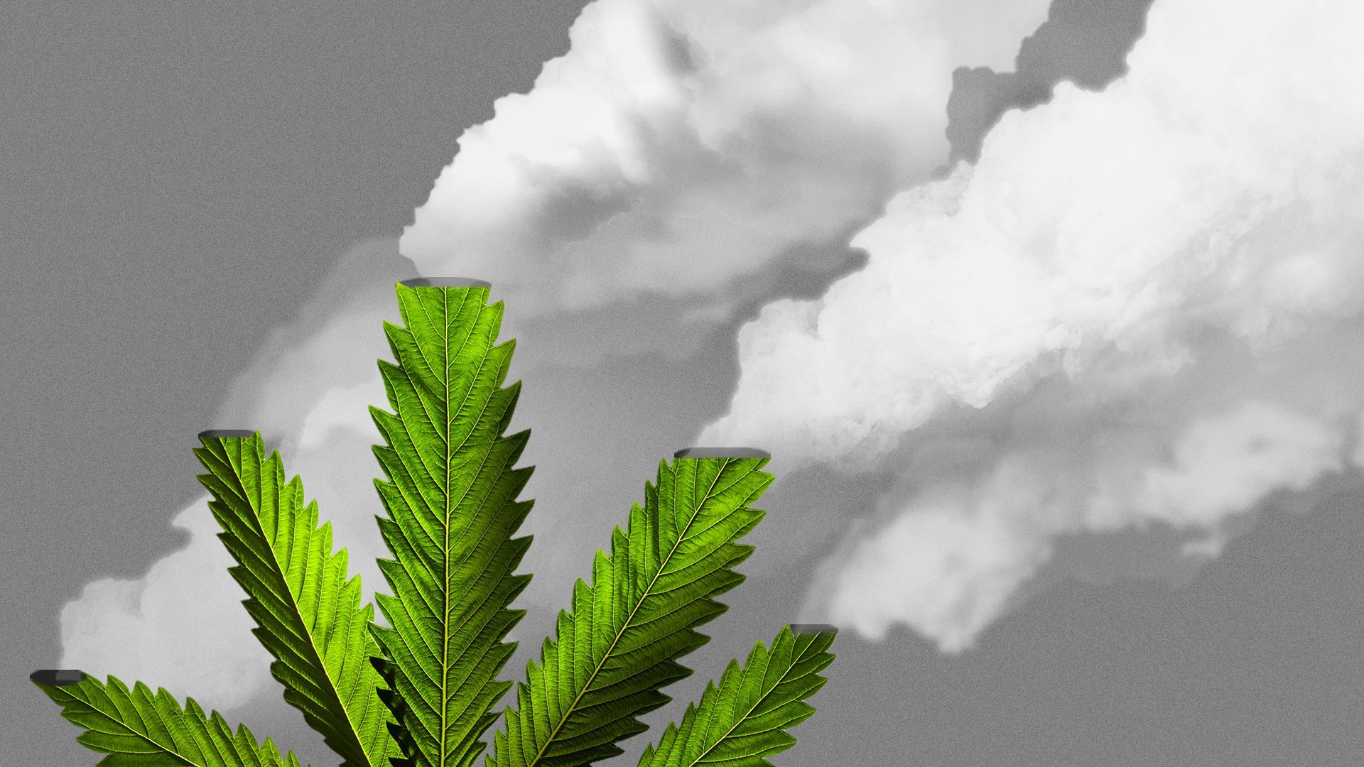 Illustration of a marijuana leaf spewing exhaust