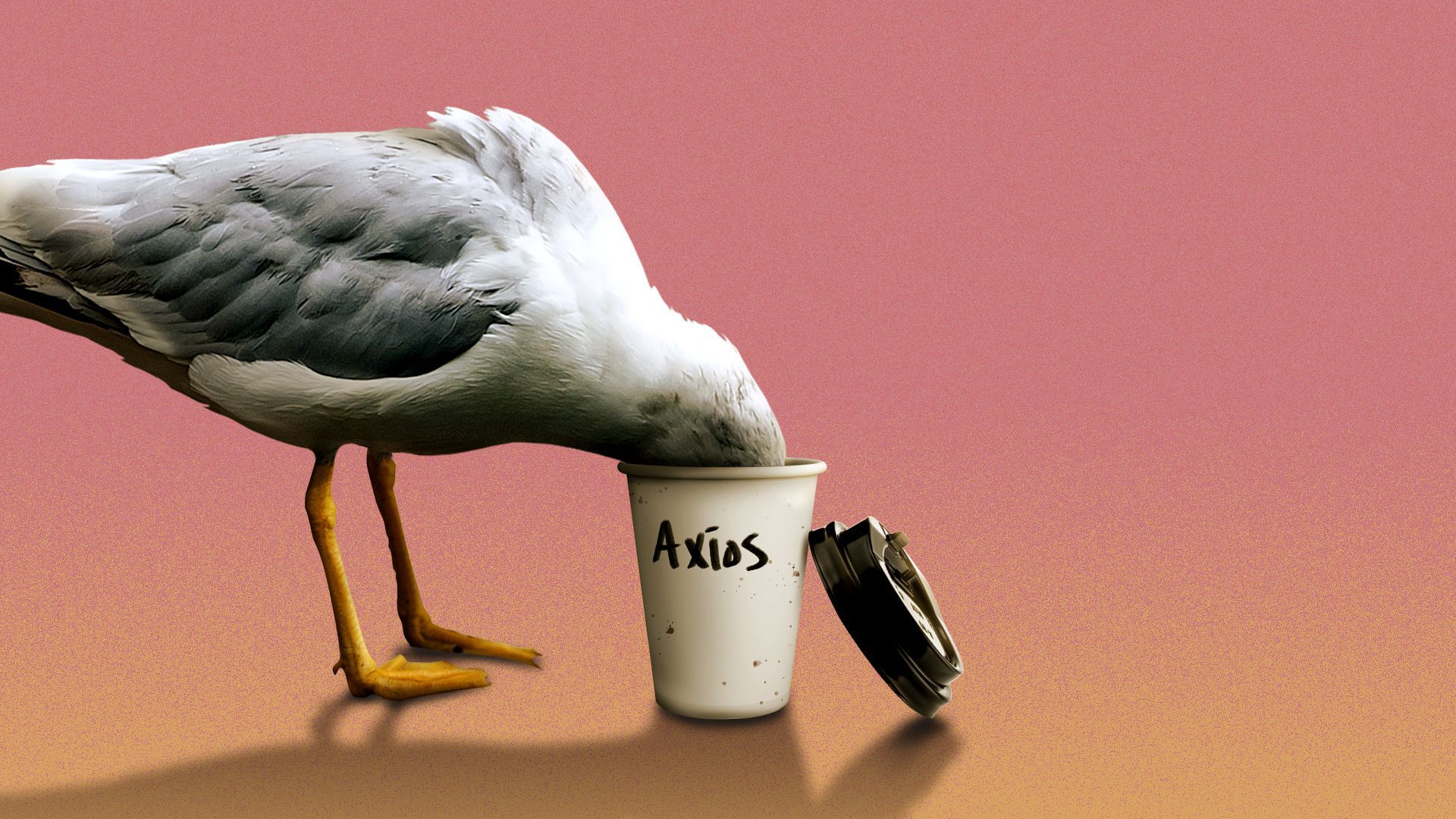 Illustration of a seagull with its head in a coffee cup.