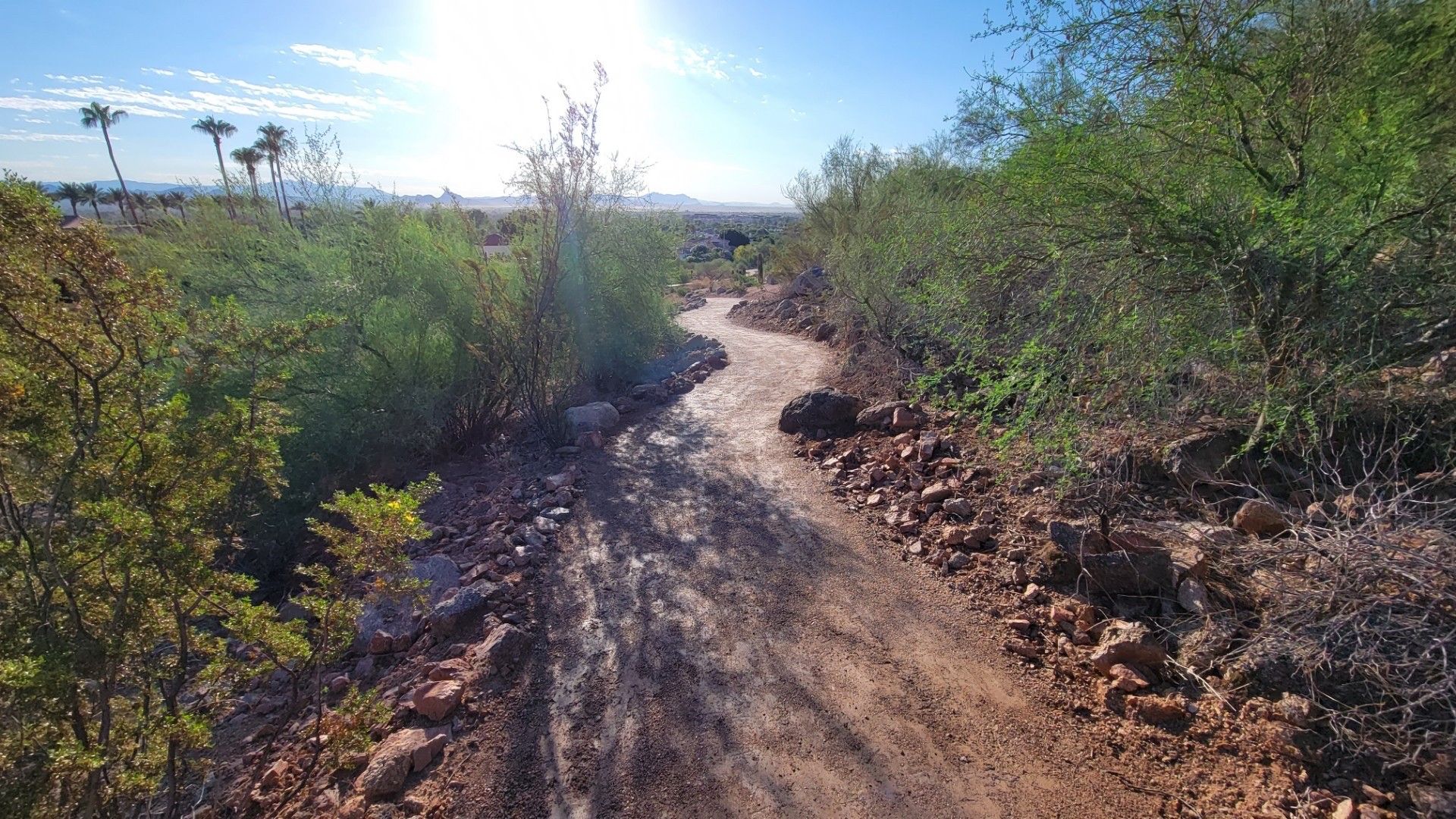A desert hiking trail.