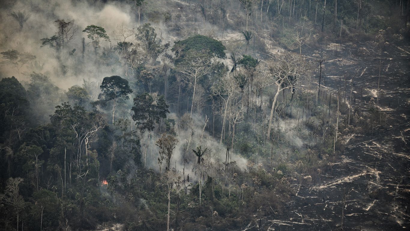 Record Wildfires Fuel Carbon Emissions in Brazil and Portugal