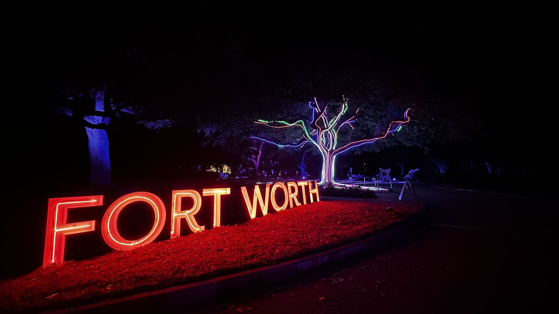 Red neon lights spelling "FORT WORTH" on grass, with a nearby tree wrapped in neon multicolor lights, all set against a dark night background.