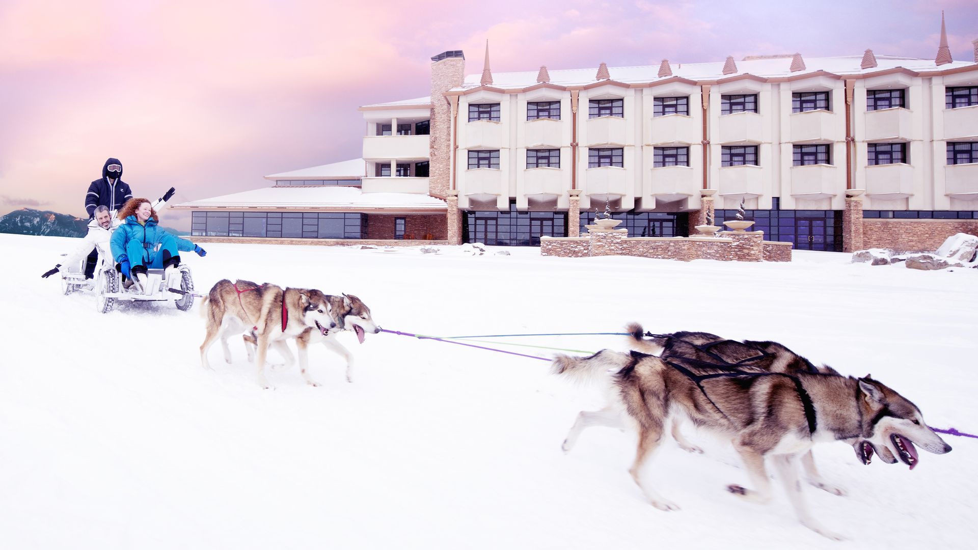 Sled dogs pulling guests over the snowy resort grounds at Nemacolin in Fayette County 