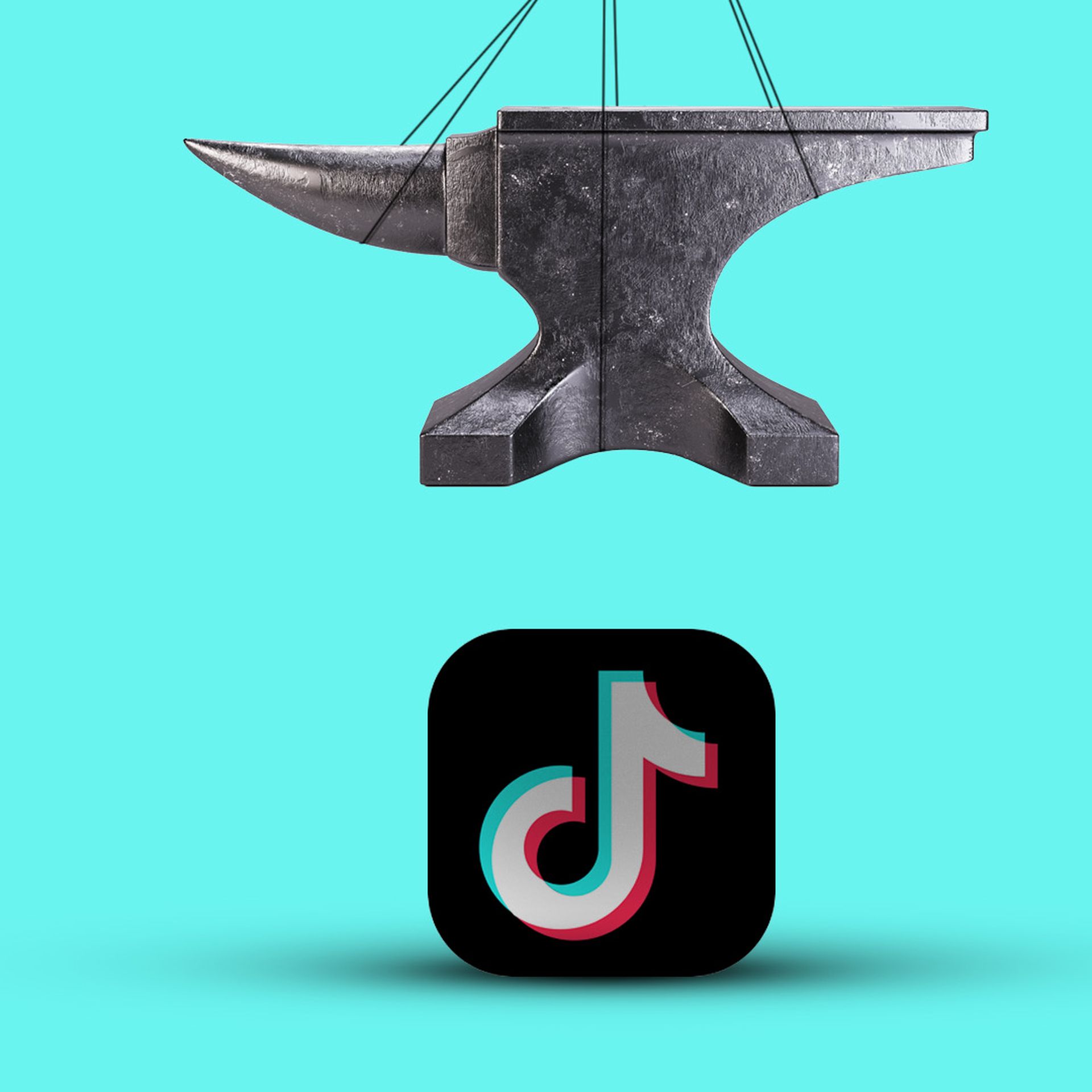 rbxwild discord｜TikTok Search