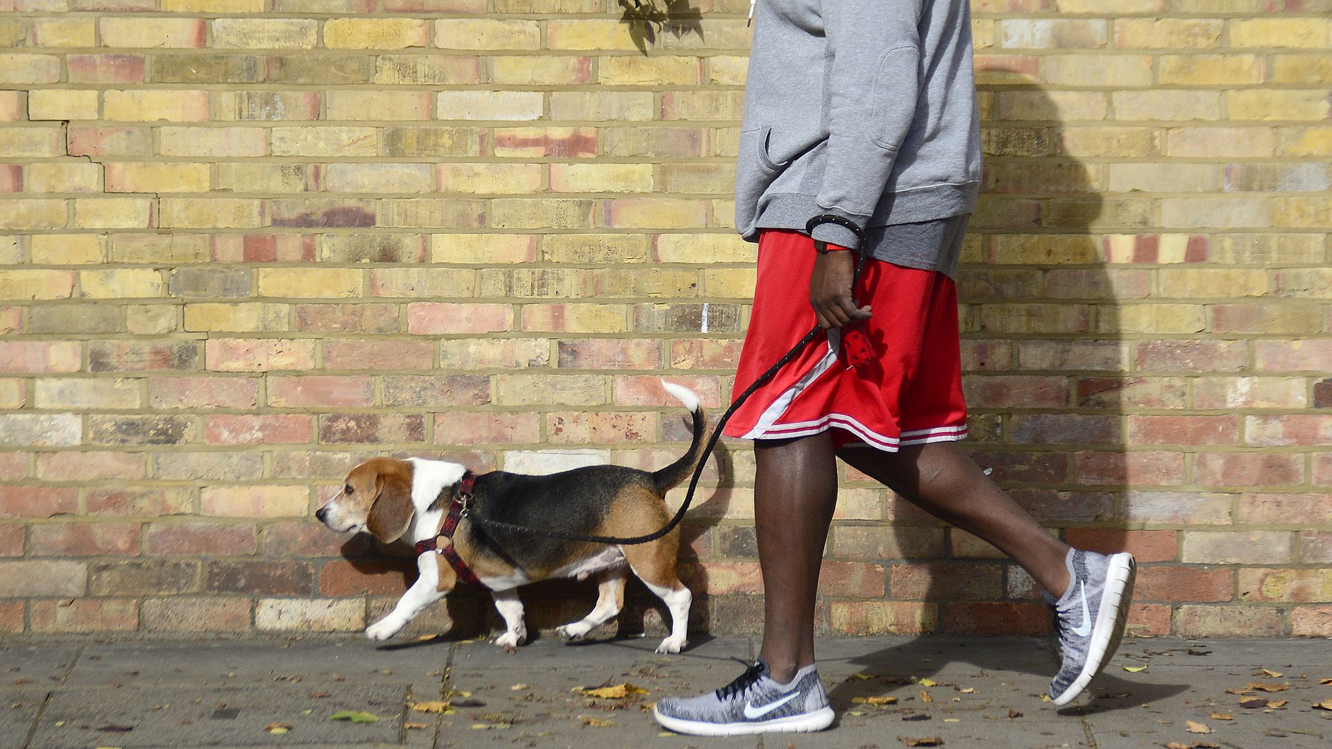 Man walking a dog.