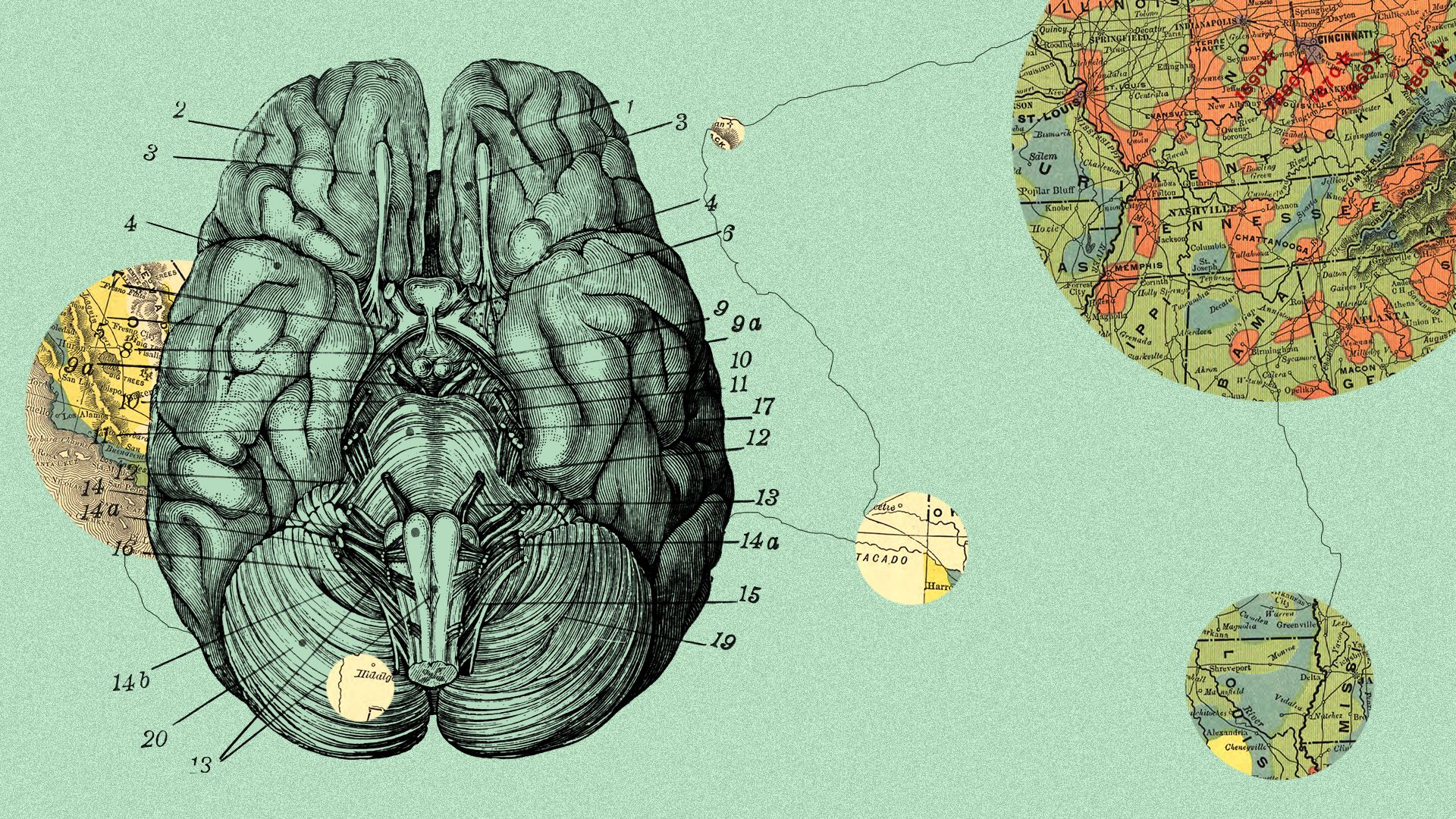 Illustrated collage of a medical drawing of a brain, with interconnected map elements in the background.