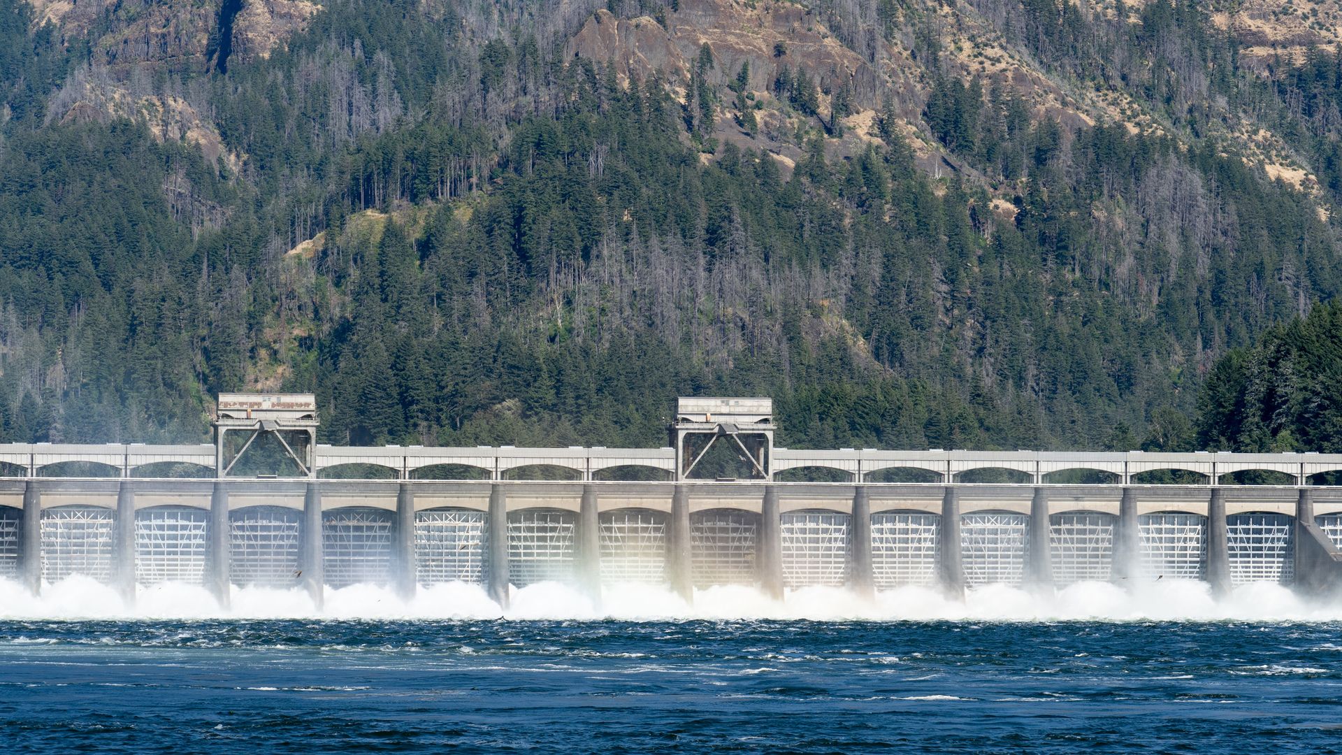 Bonneville Dam