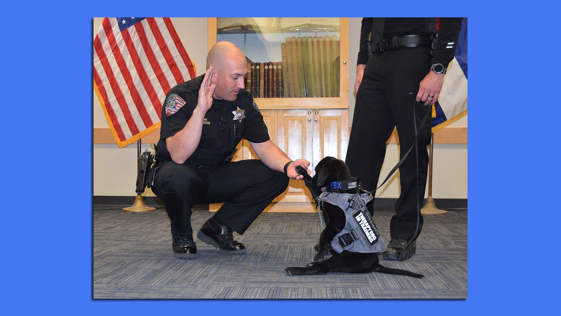 An Arapahoe Sheriff's Office swears in a 10-week old lab puppy.