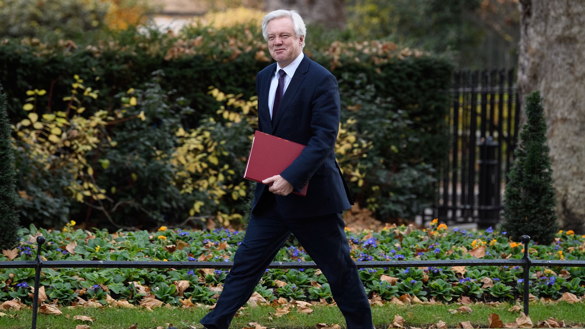 Brexit Secretary David Davis.