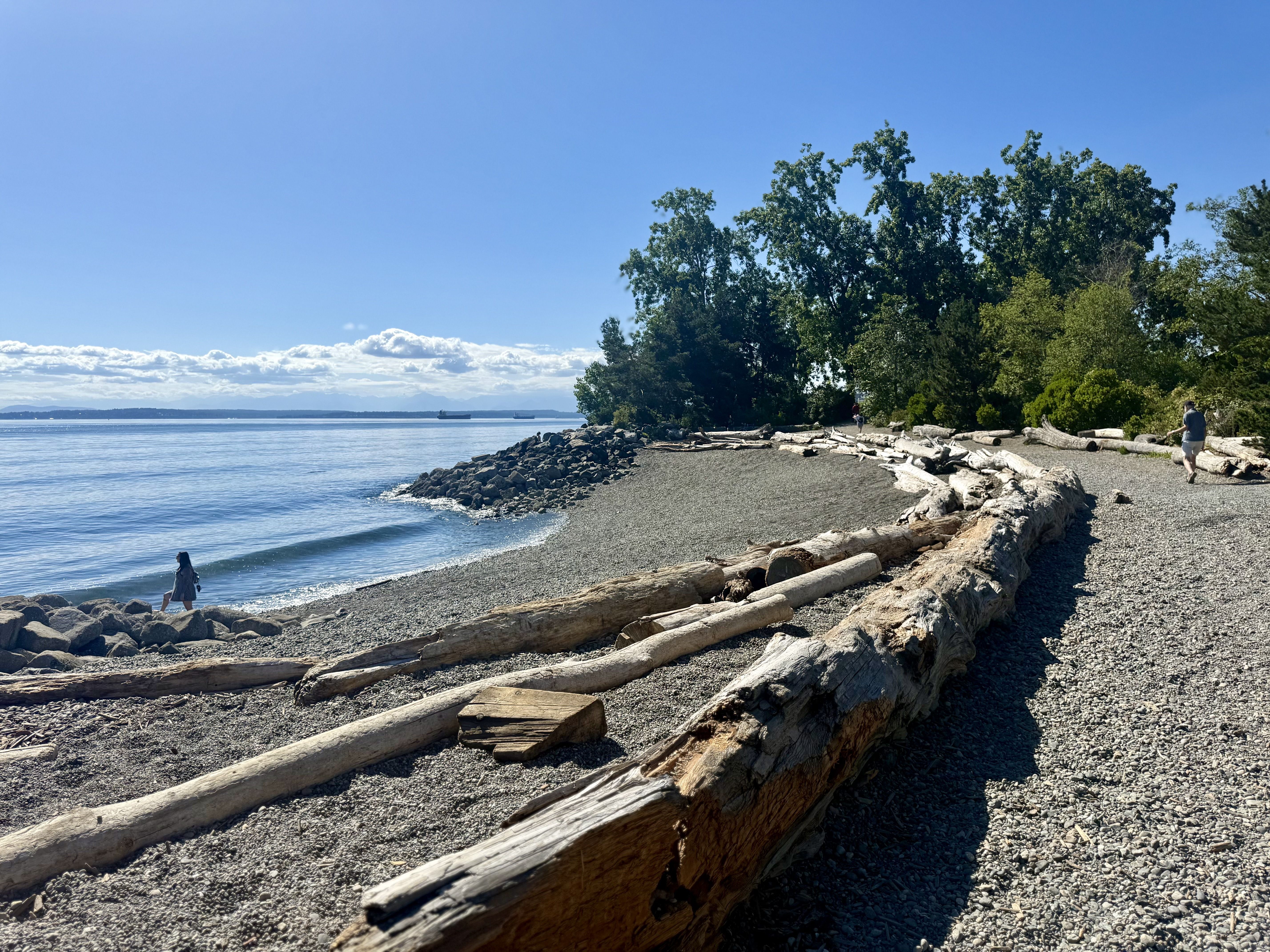 Sunny beach scene with a pebble shore, large driftwood logs, calm blue water on the left, dense green trees on the right, and a few people strolling along the driftwood.