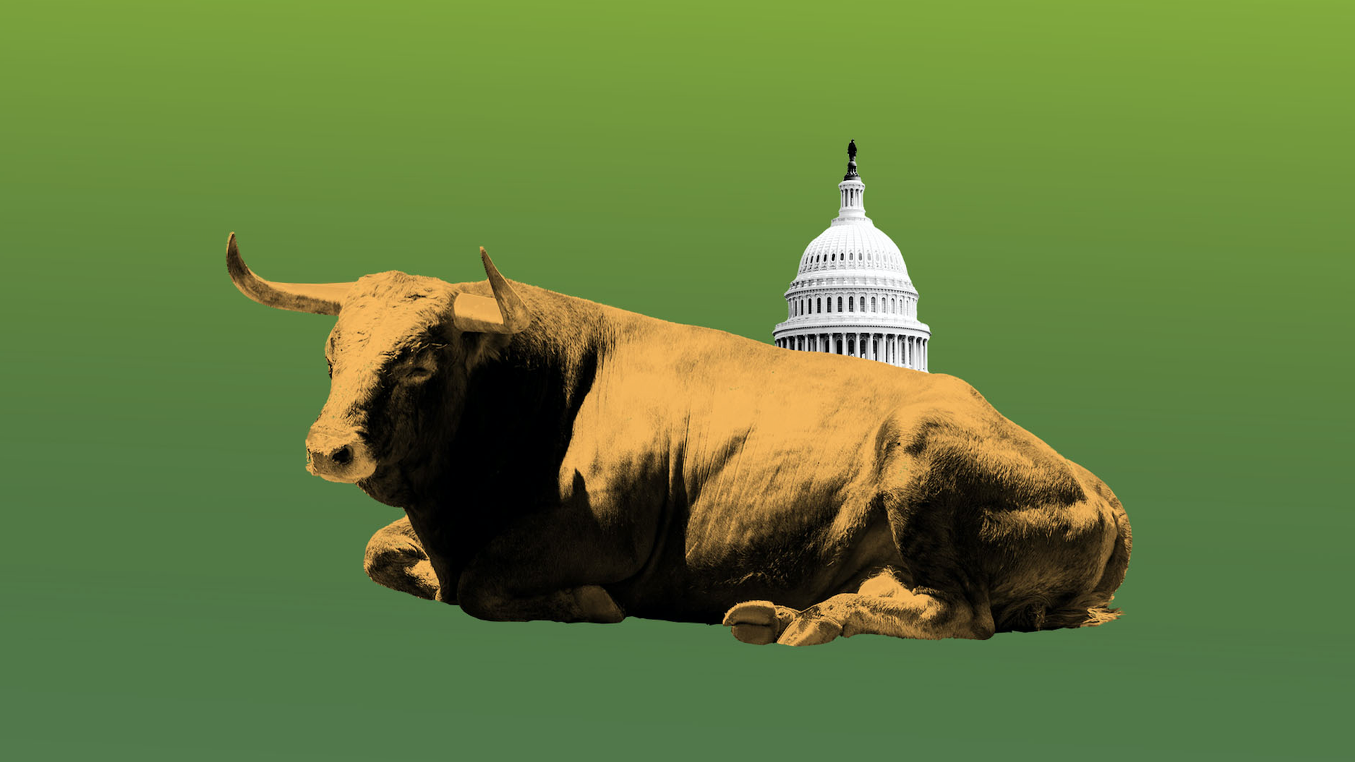 Illustration of bored bull with Capitol Building in the background