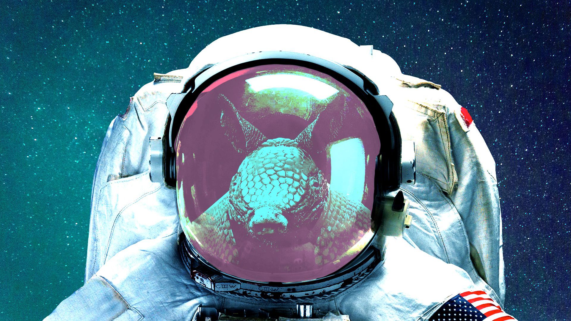 Illustration of an armadillo wearing an astronaut's space suit.