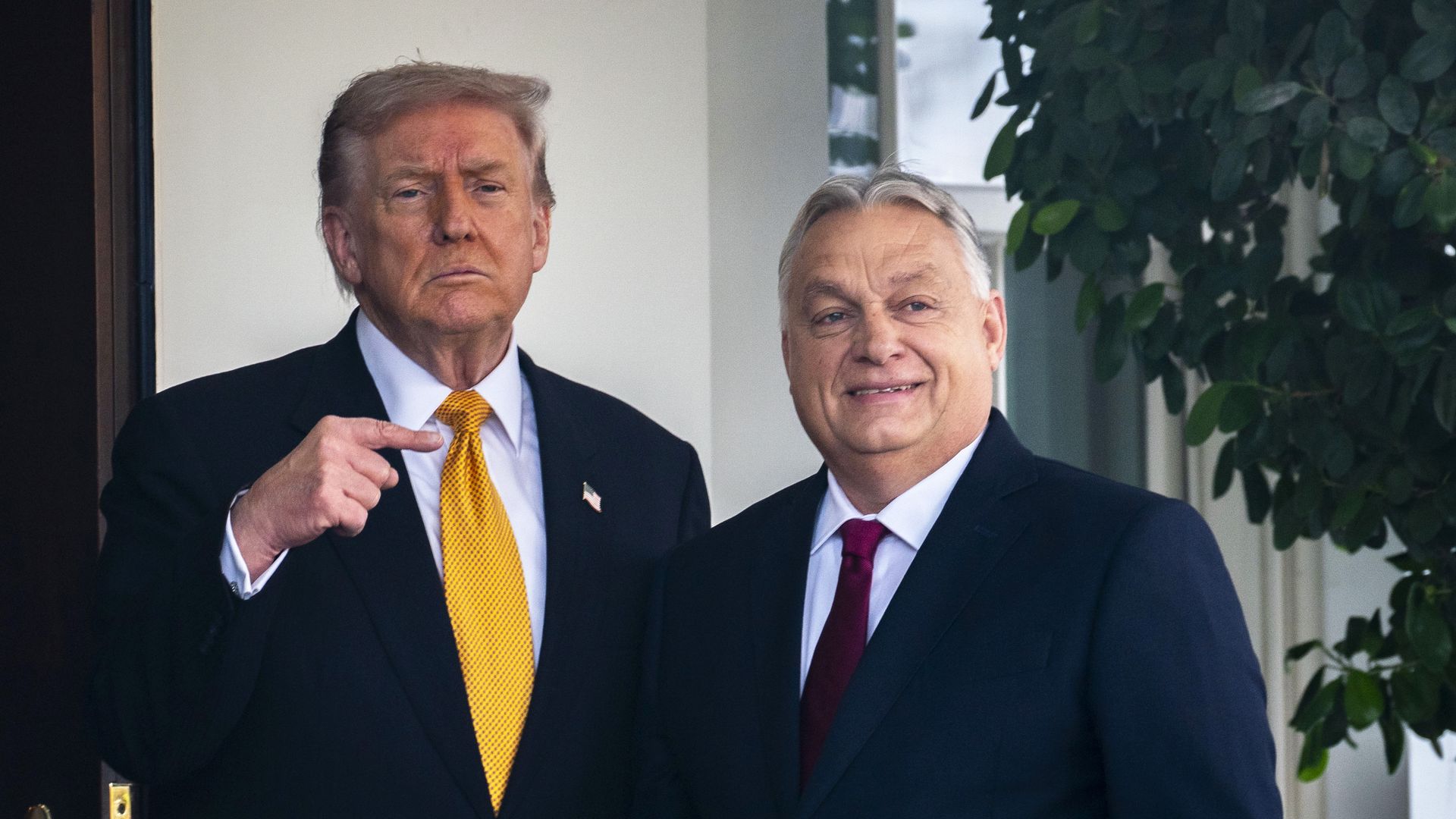 President Trump greets Hungarian Prime Minister Viktor Orban at the White House in Washington, D.C., on Friday, Nov. 6. 