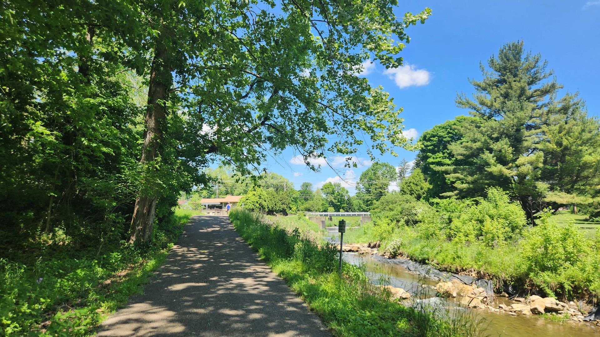 A scenic view of a bike path running alongside a creek with a large tree in the foreground.