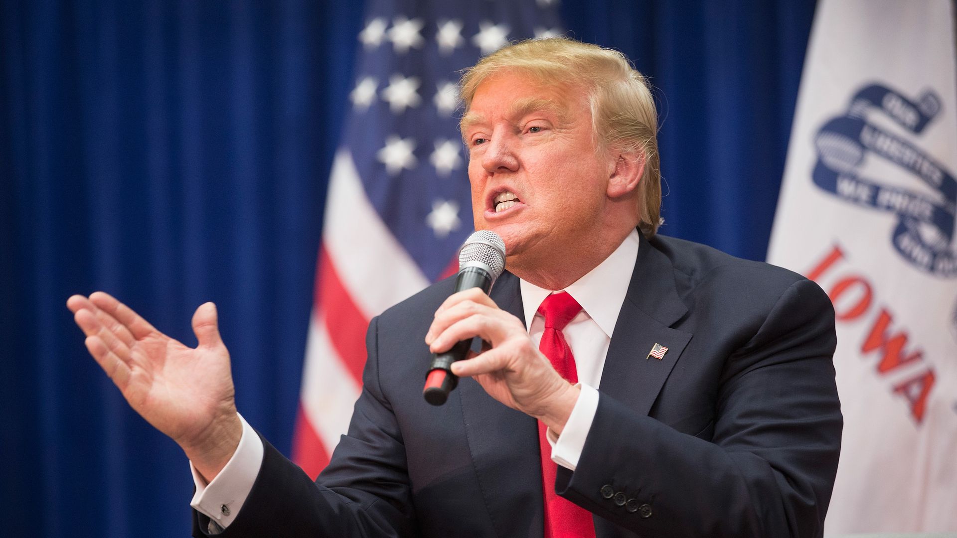 A photo of Donald Trump.