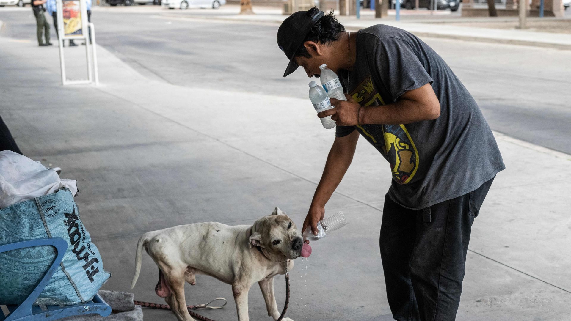 A man gives his dog water from a bottle.