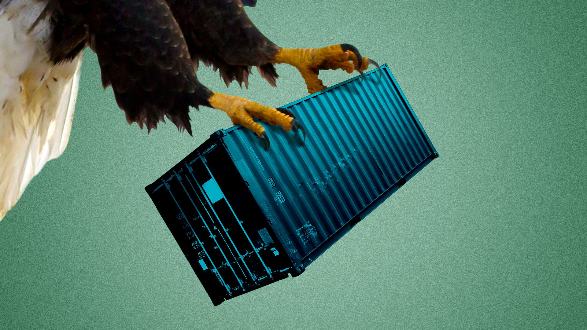 Illustration of an eagle grabbing a shipping container in its talons.