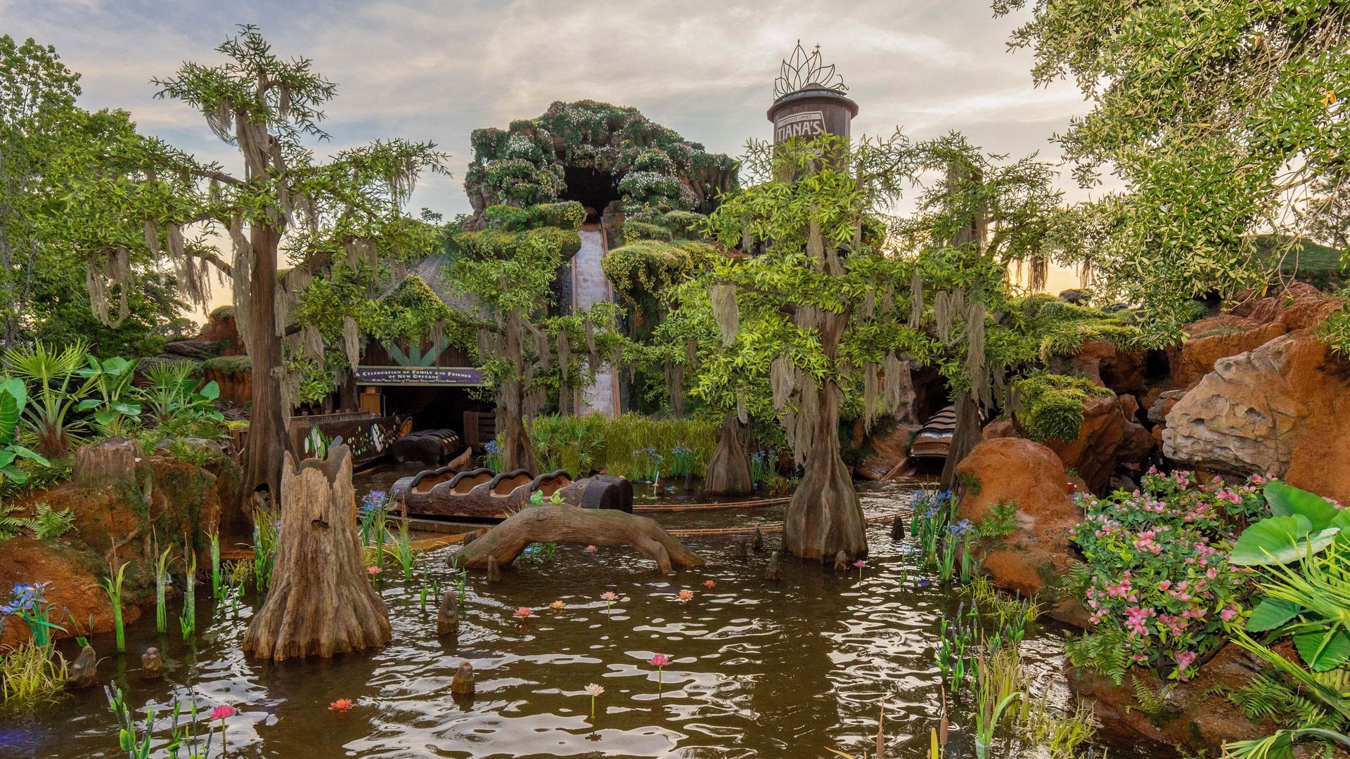 Photo shows the bayou area of Tiana's Bayou Adventure