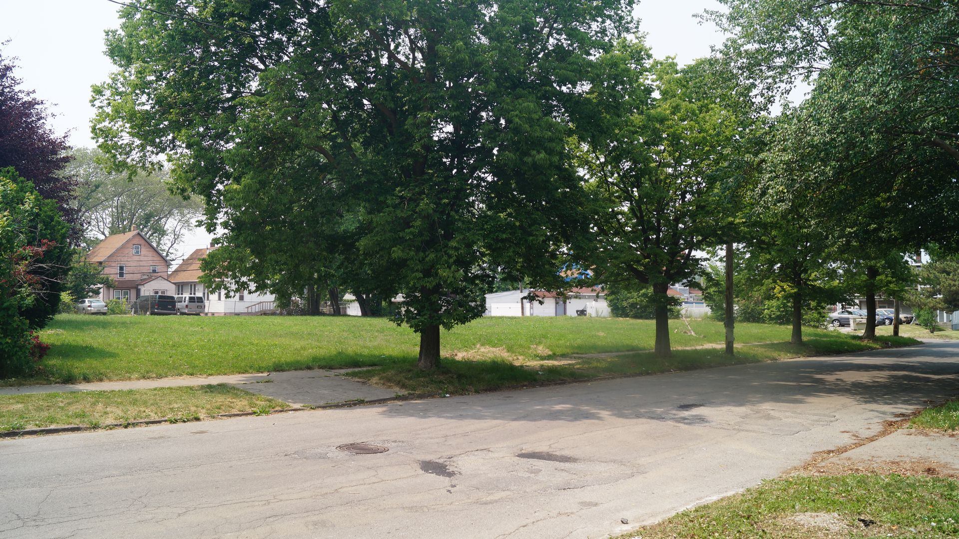 Adjacent grassy vacant lots, with trees on the tree lawn