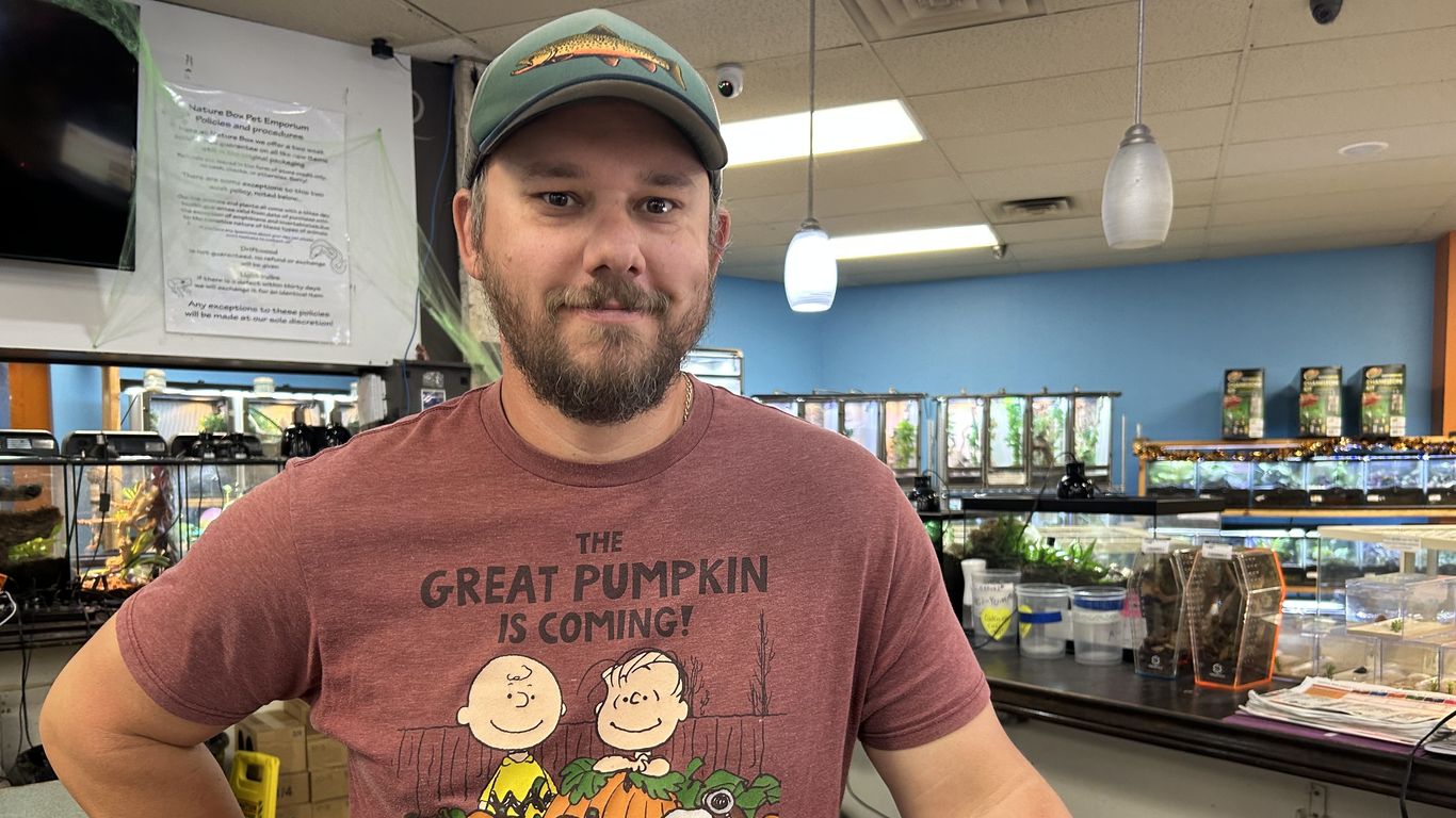 Grow a monster pumpkin with these tips