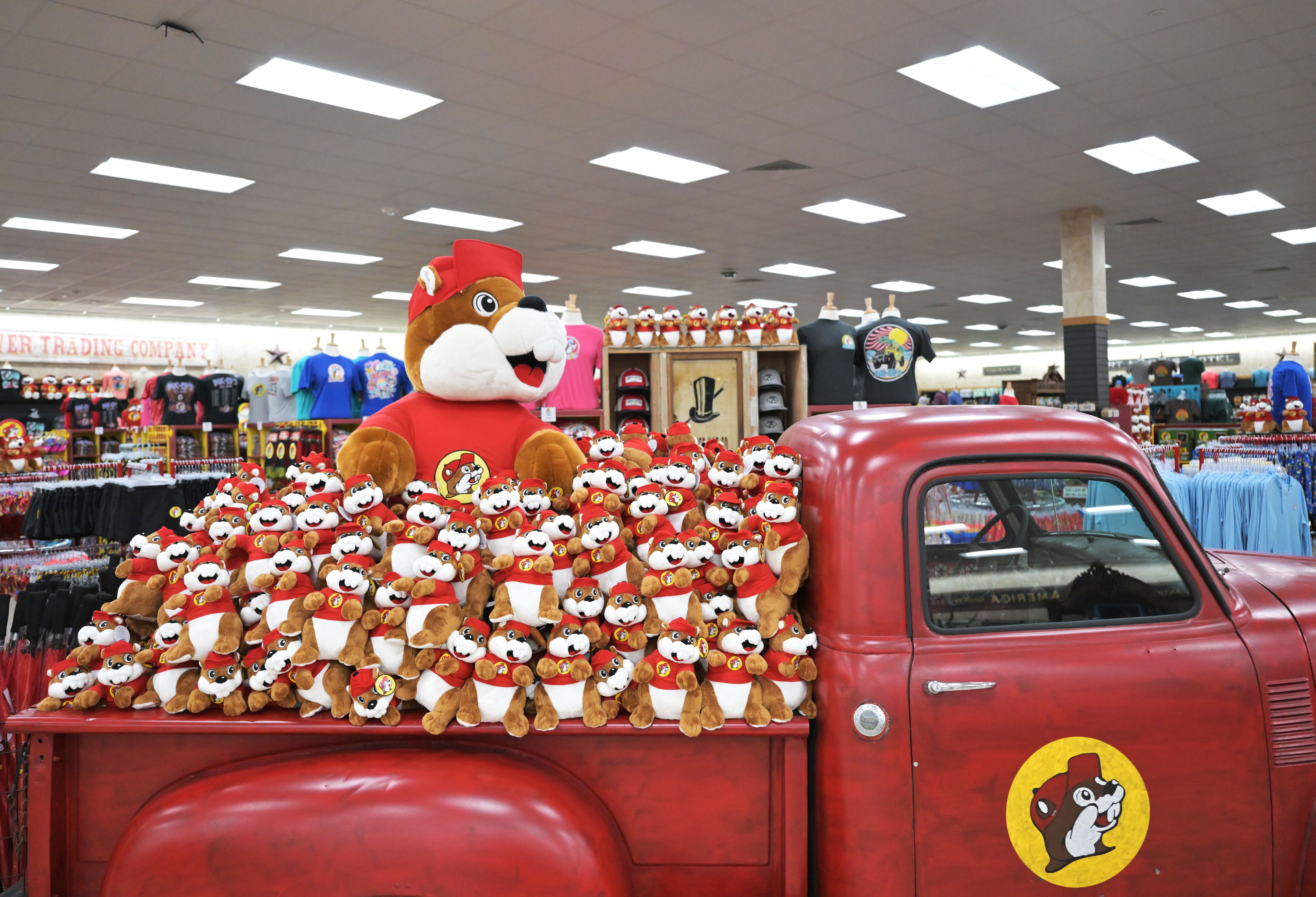 Photo shows a pickup truck display filled with plush beavers at Buc-ee's.