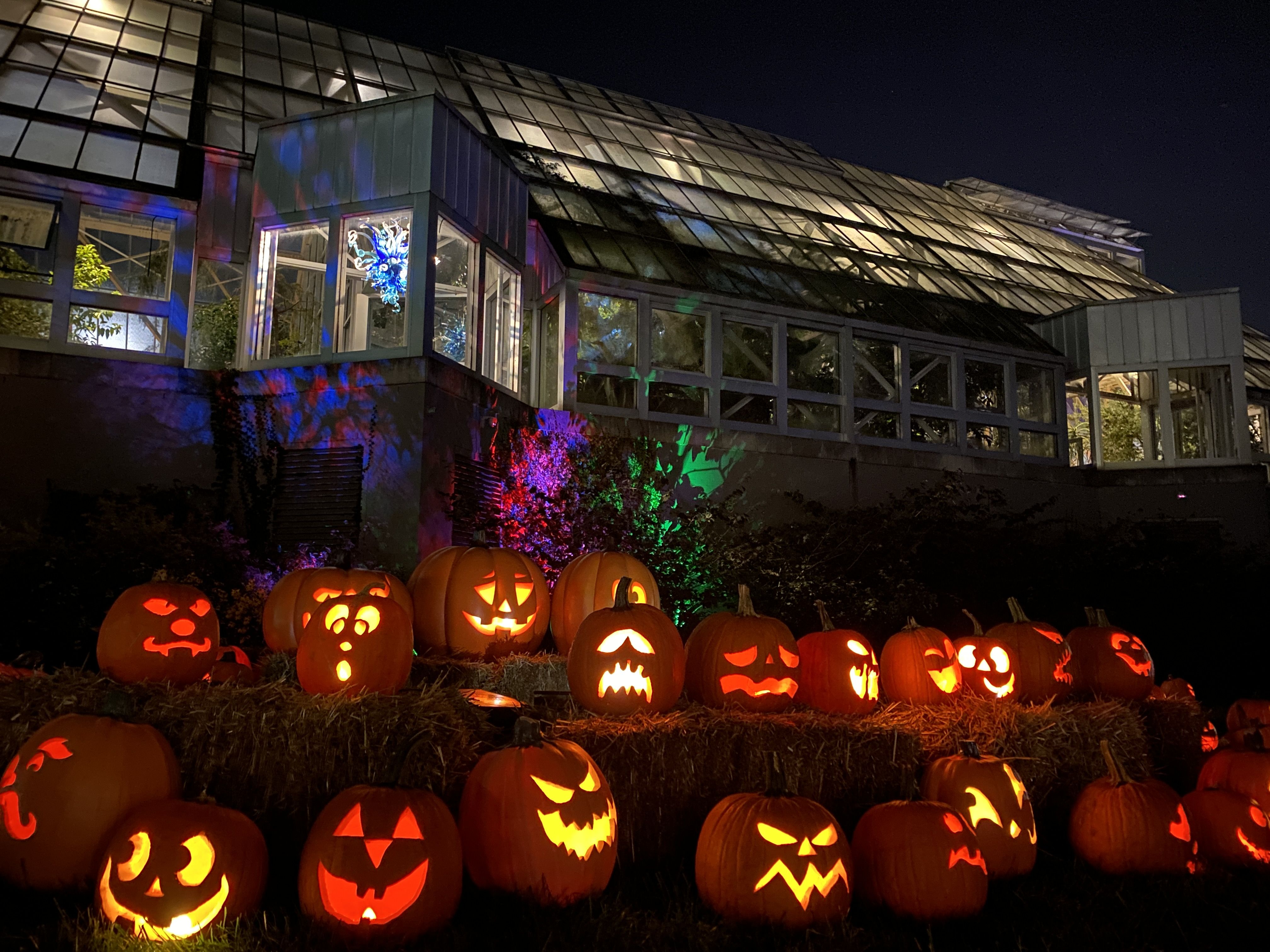 Night view of a glass greenhouse with colorful light projections; in the foreground a row of glowing jack-o'-lanterns with carved faces on the lawn.