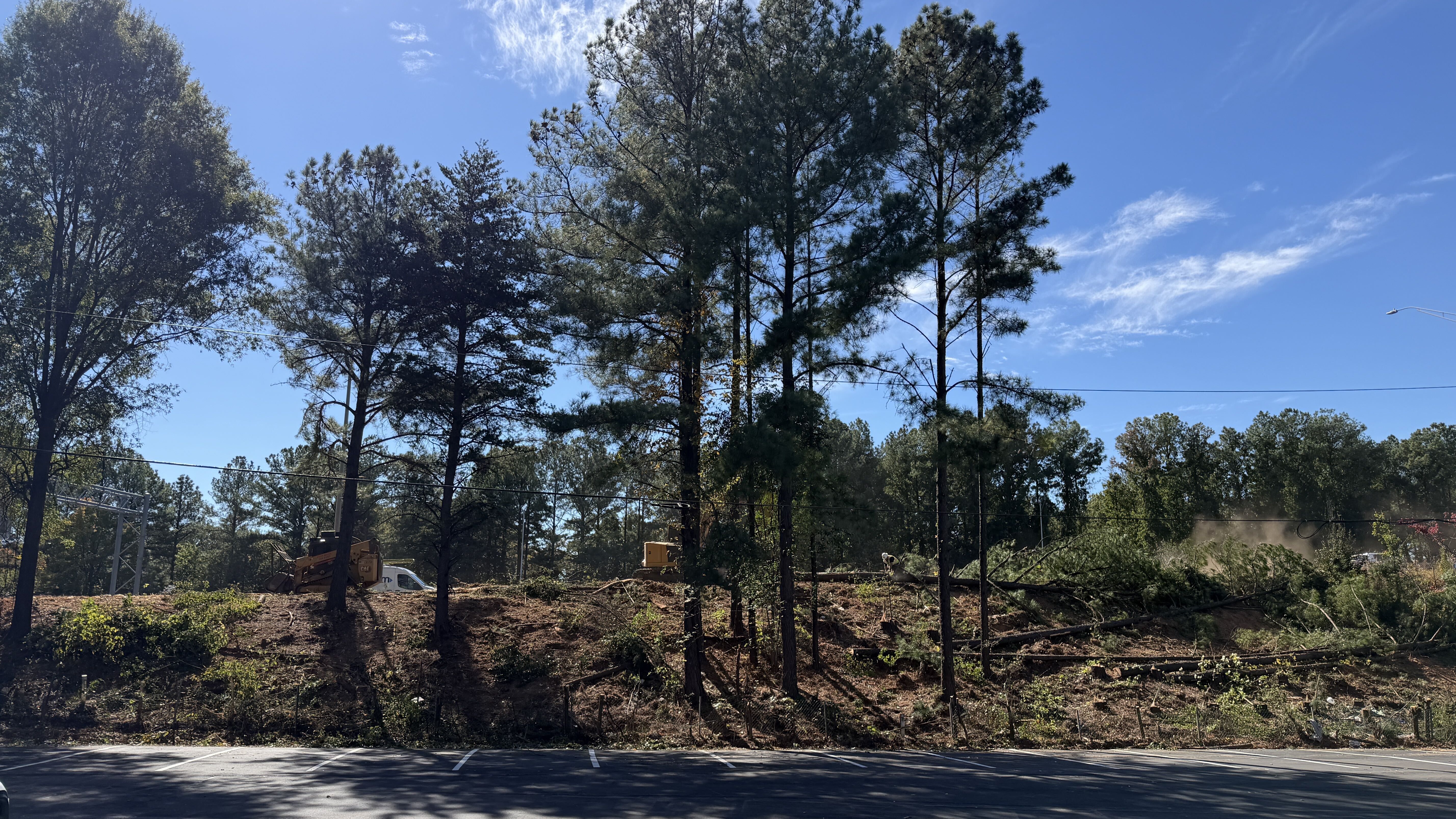 Trees being removed along Independence Boulevard Tuesday afternoon. Photo: Ashley Mahoney/Axios